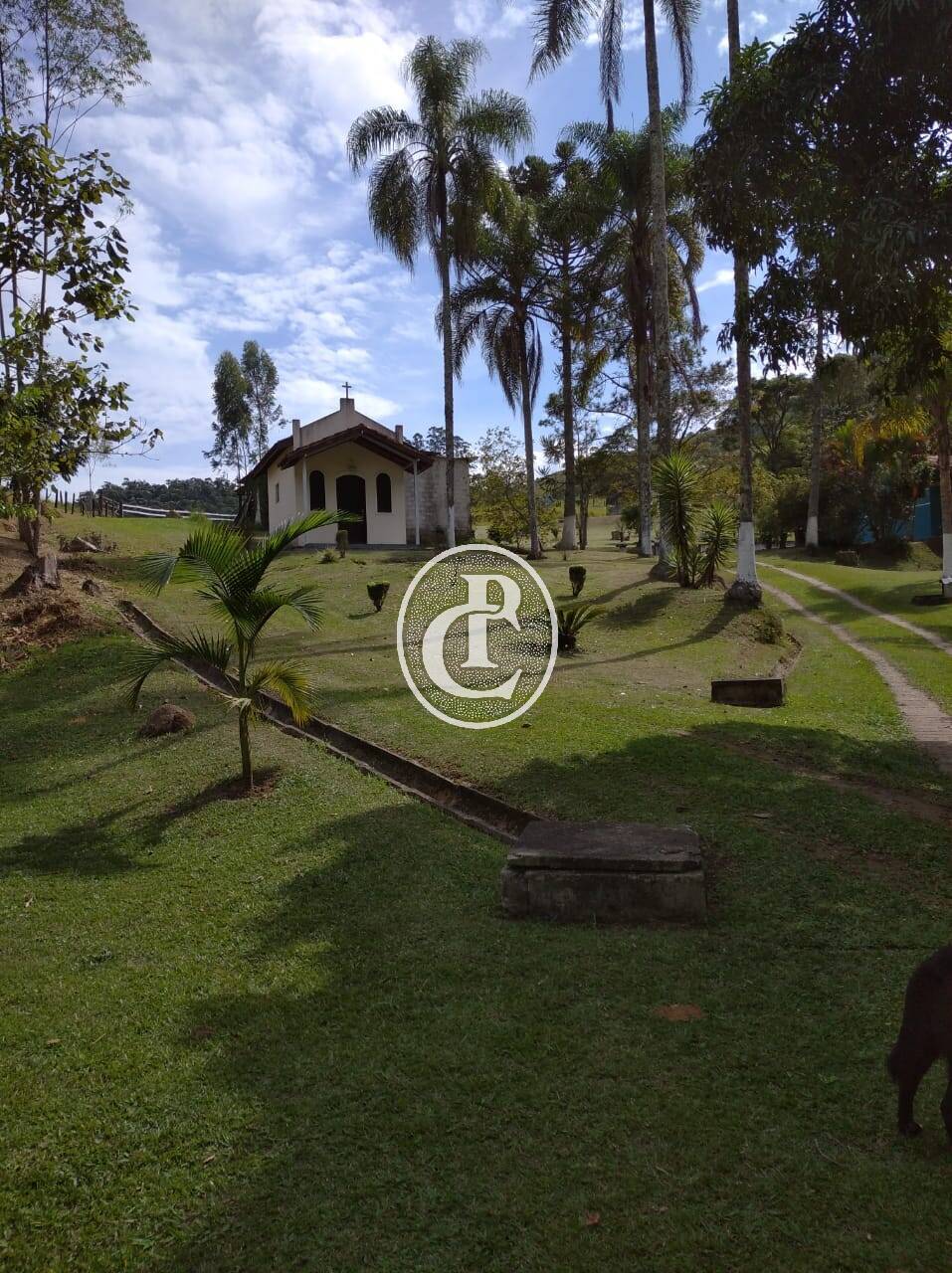 Sítio, 3 quartos, 7 hectares - Foto 31