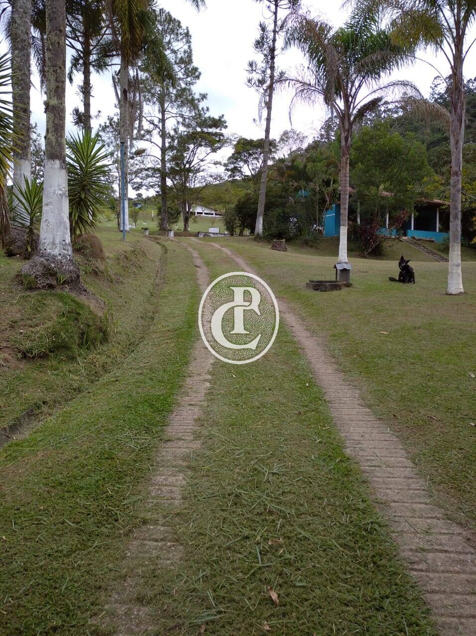 Sítio, 3 quartos, 7 hectares - Foto 34