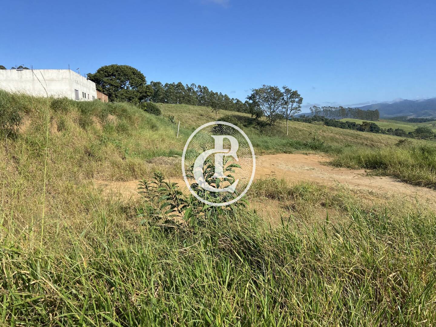 Sítio, 3 quartos, 3800 m² - Foto 1