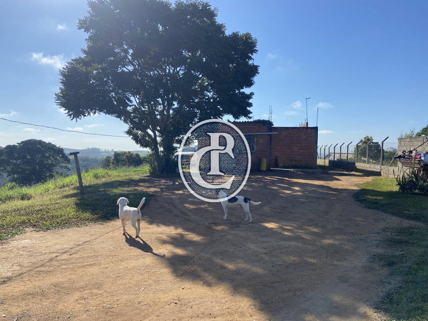 Sítio, 3 quartos, 3800 m² - Foto 11