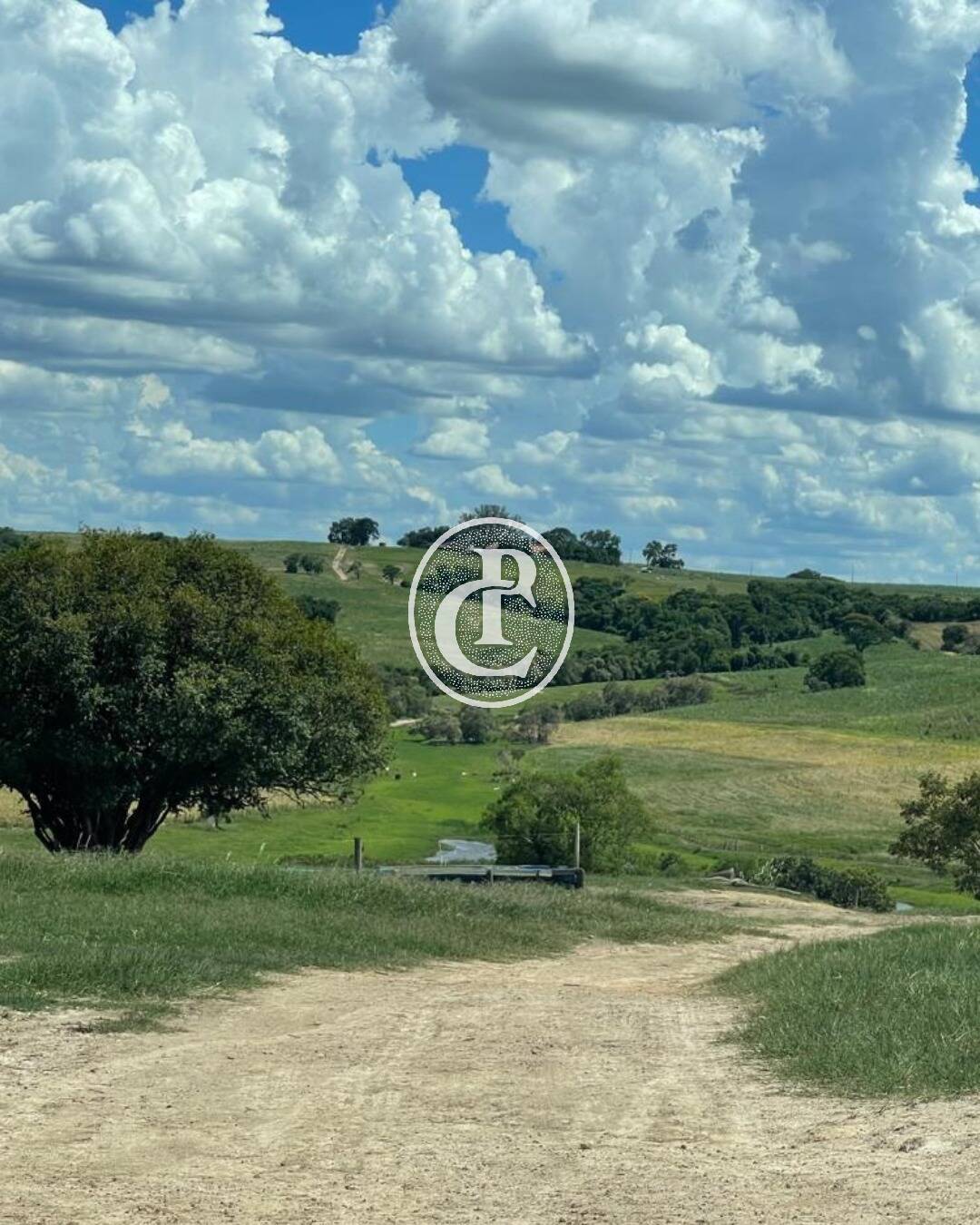 Fazenda, 97 hectares - Foto 6