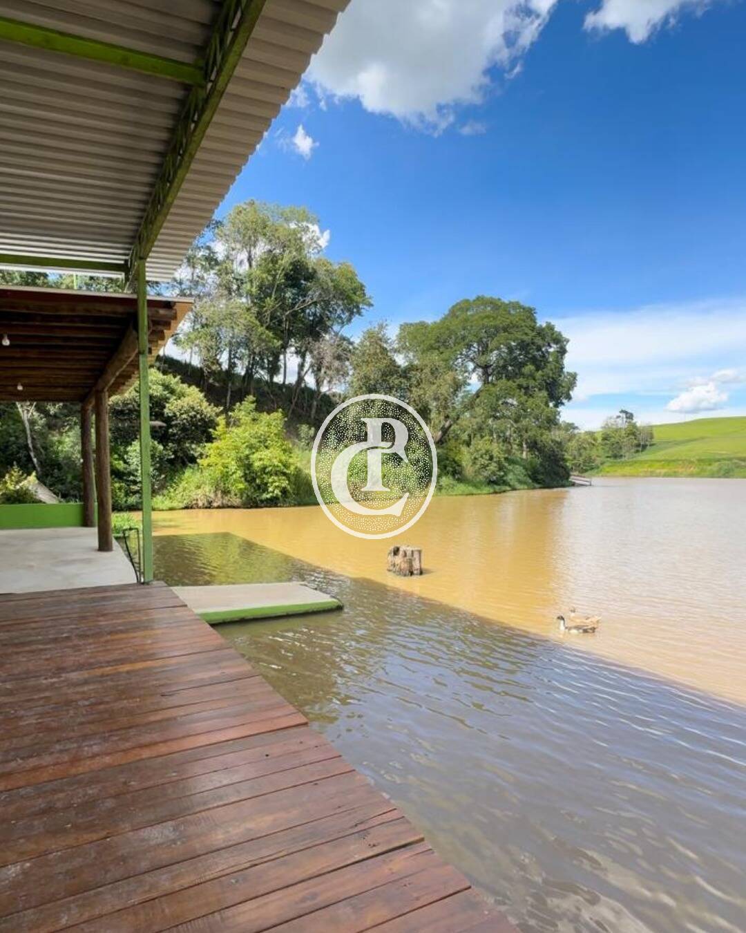 Fazenda, 97 hectares - Foto 7