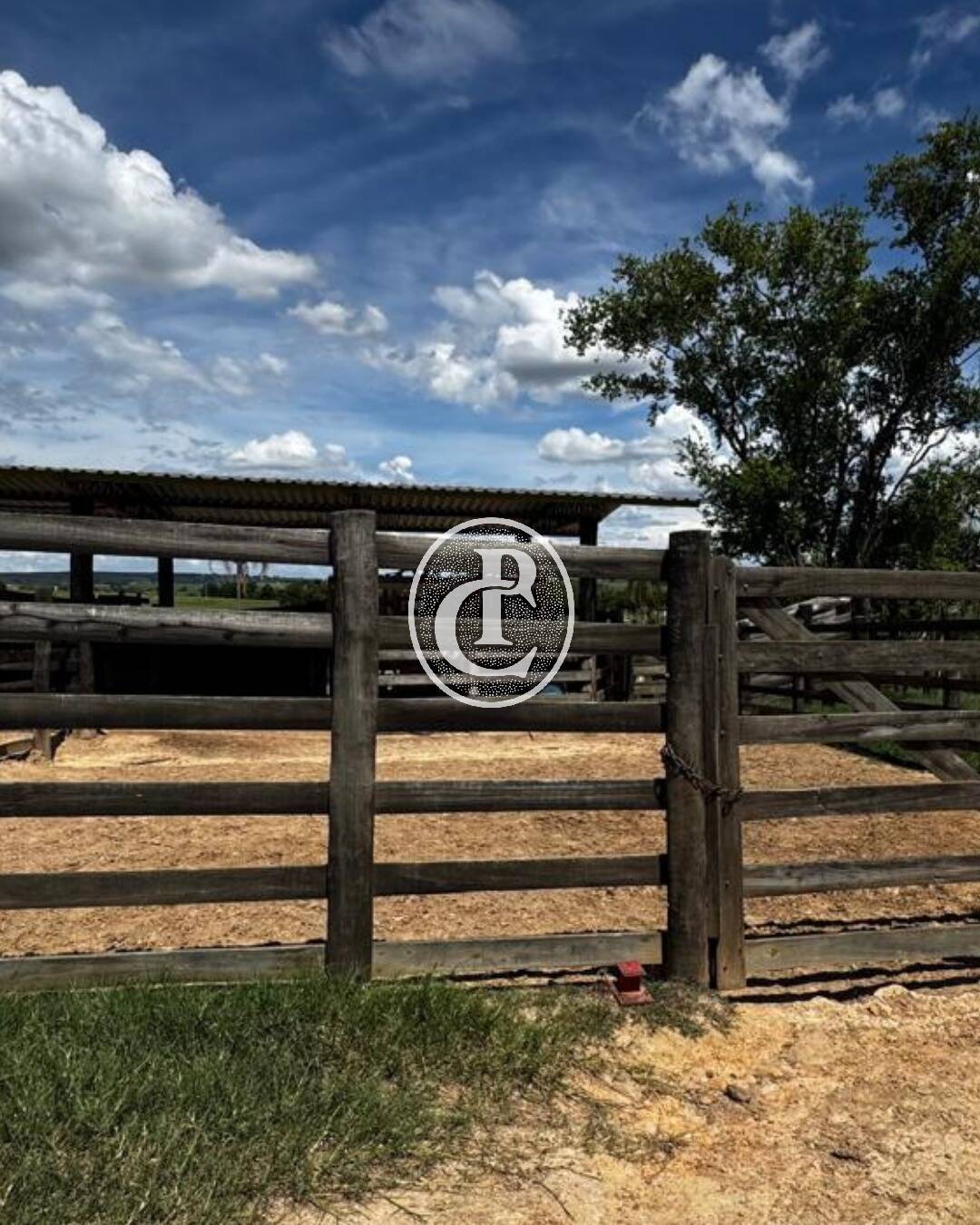 Fazenda, 97 hectares - Foto 12