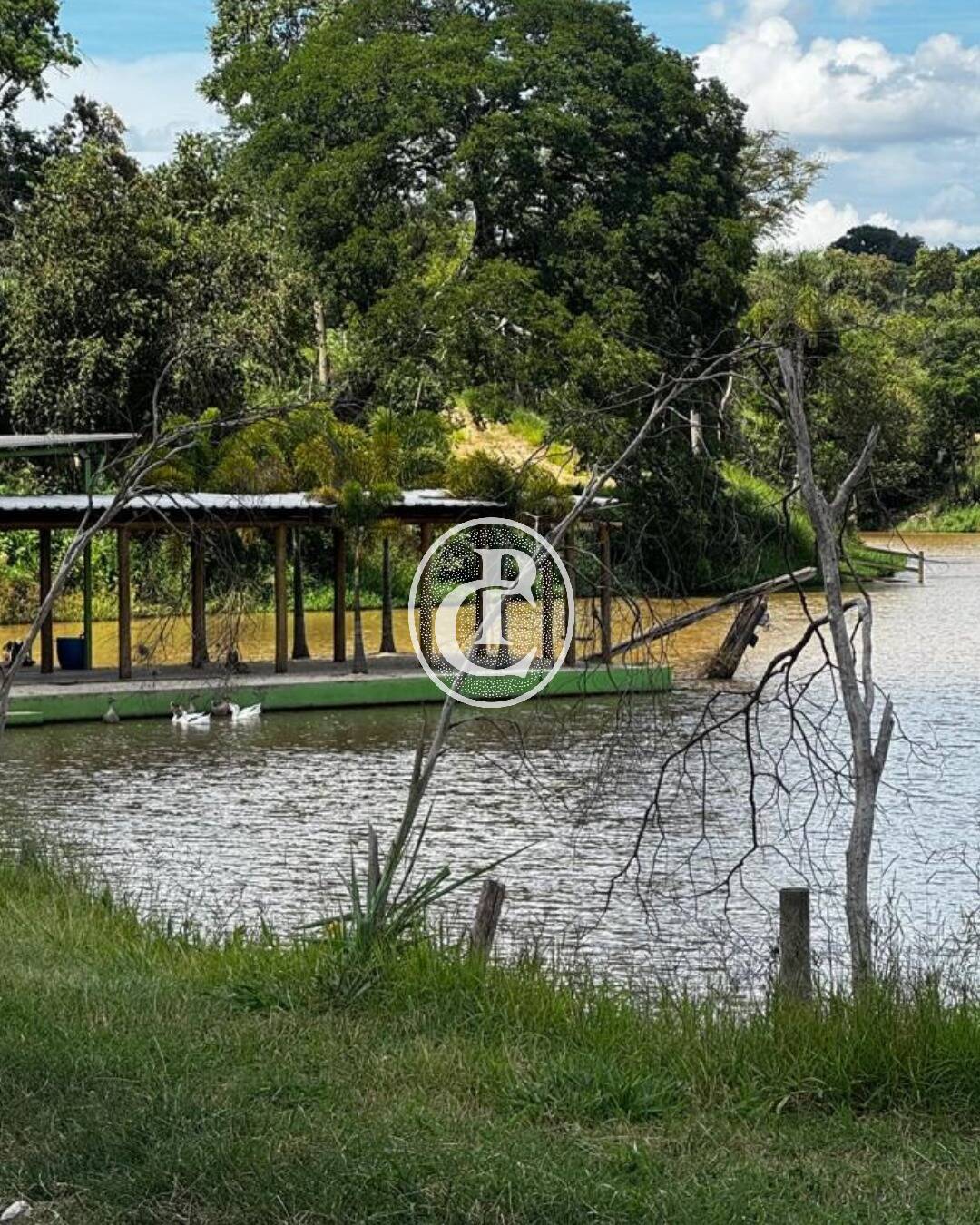 Fazenda, 97 hectares - Foto 14