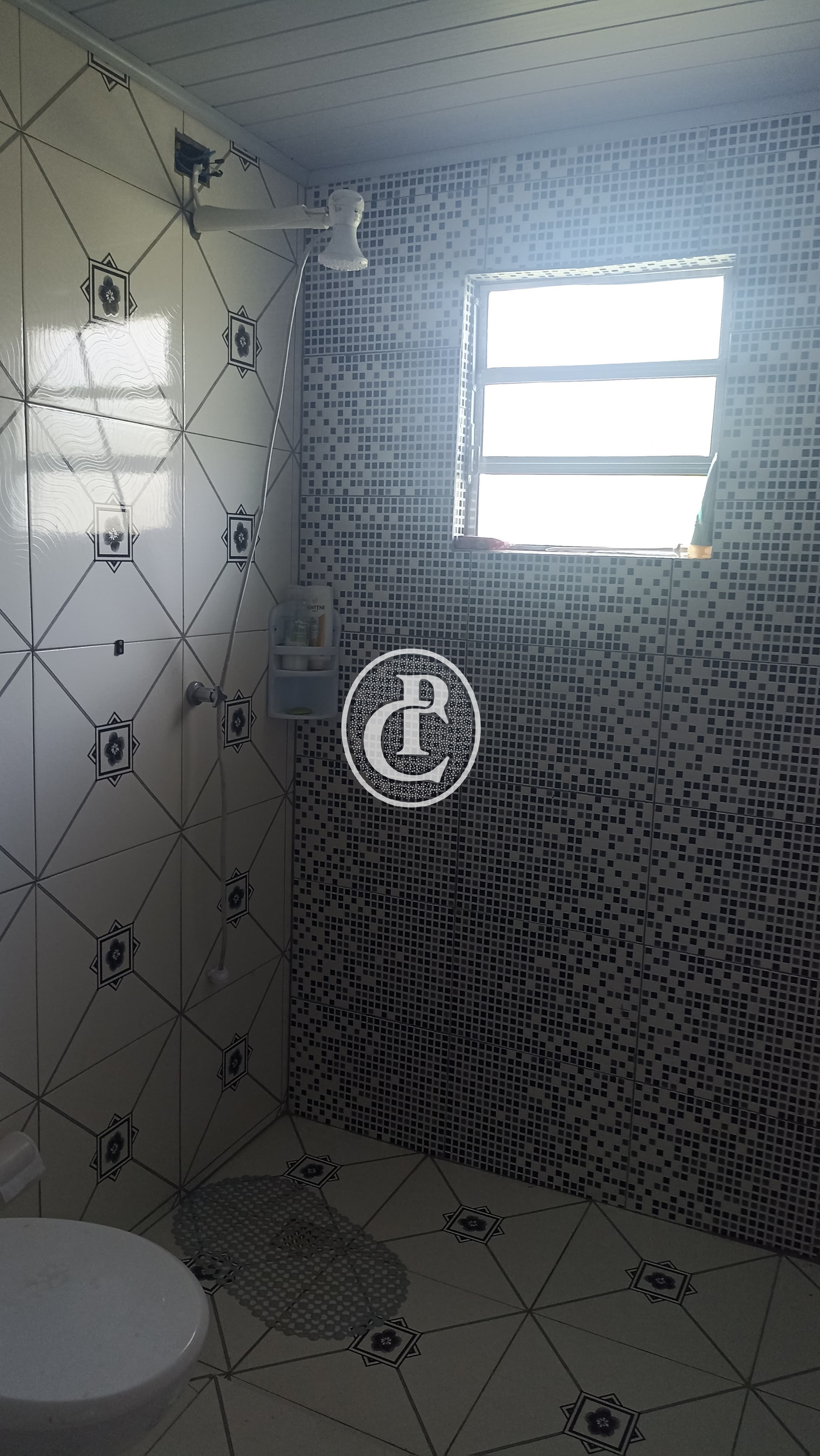 Sítio, 3 quartos, 1000 m² - Foto 3