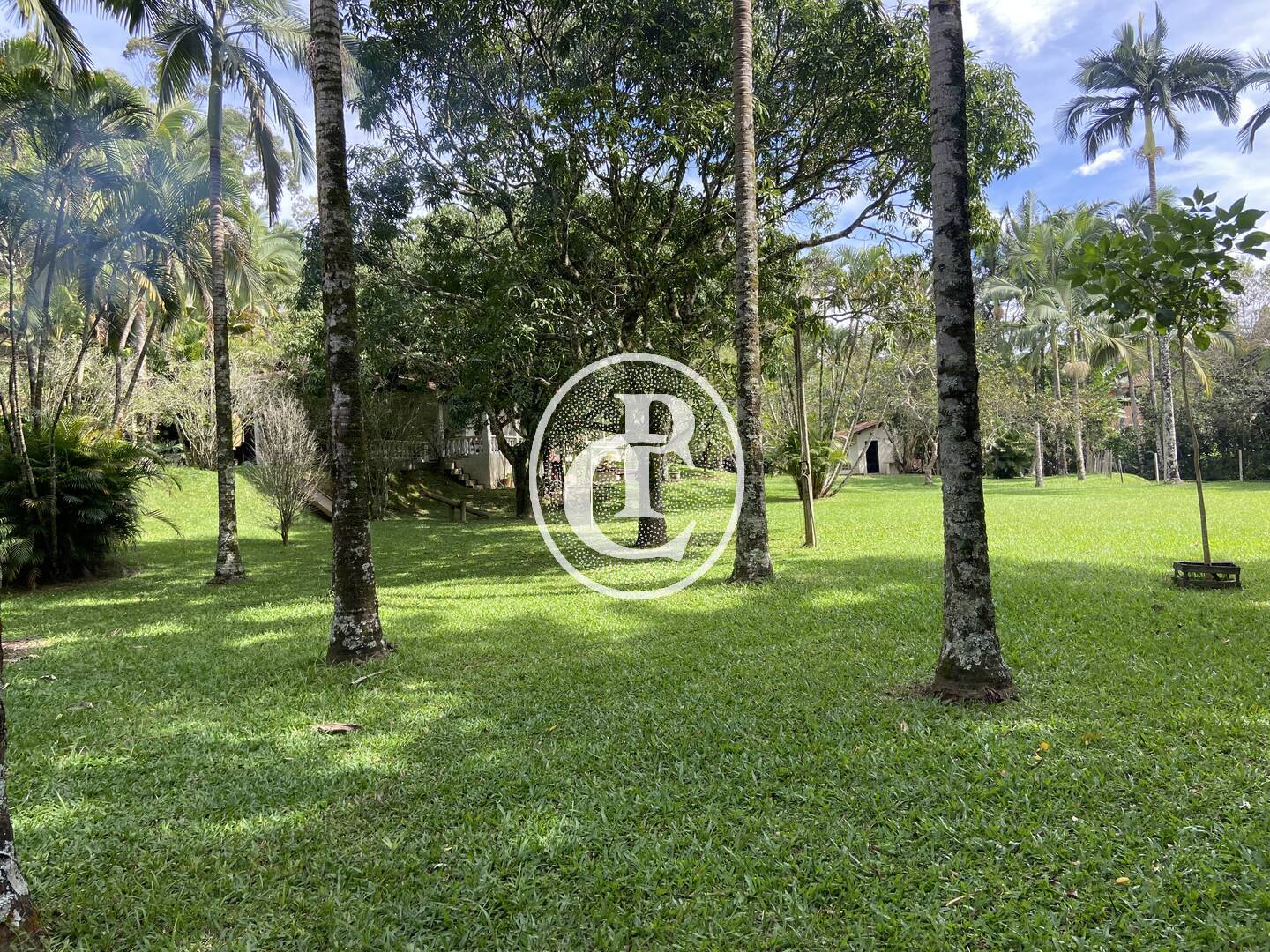 Sítio, 3 quartos, 10000 m² - Foto 6