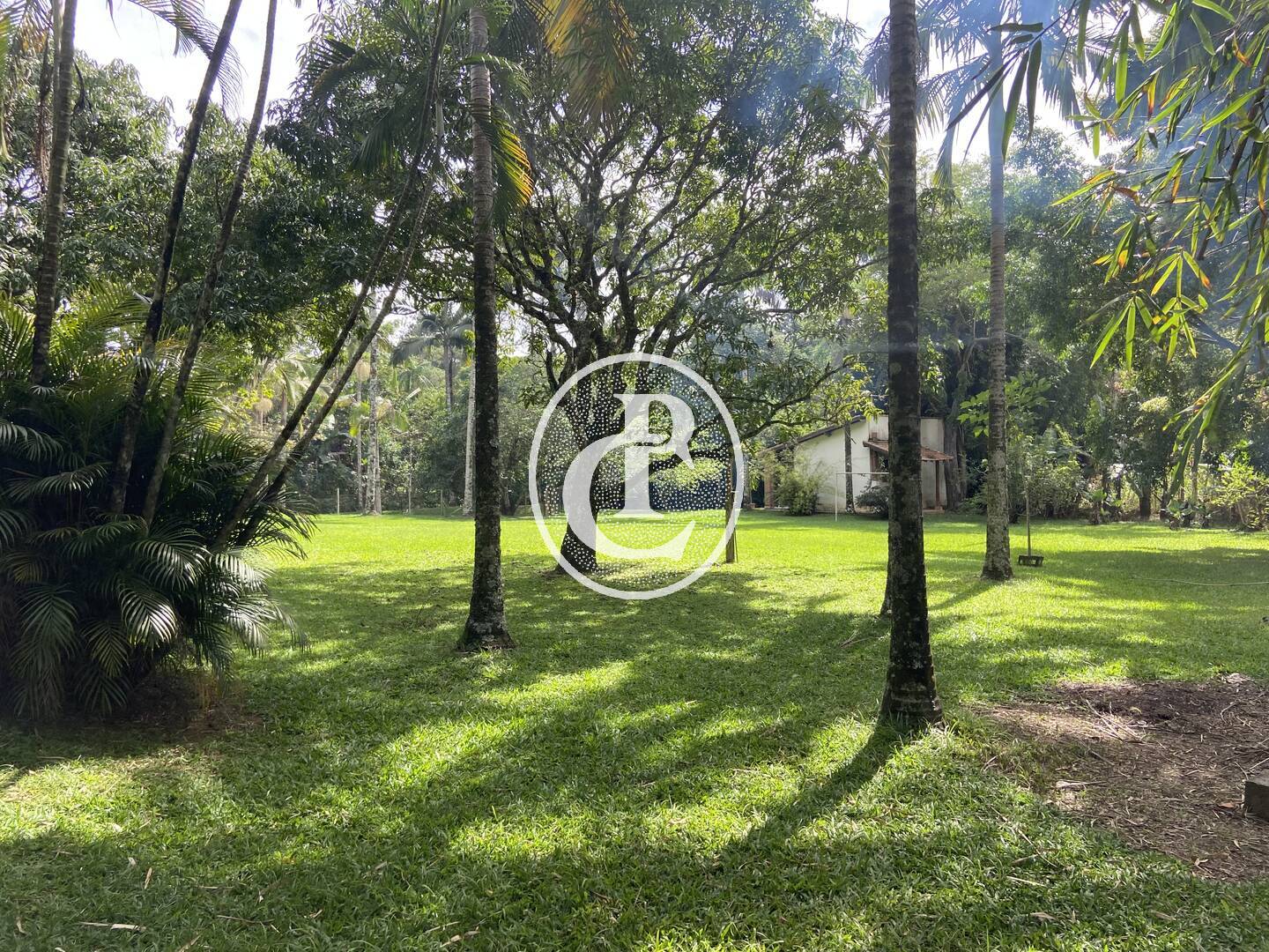 Sítio, 3 quartos, 10000 m² - Foto 12