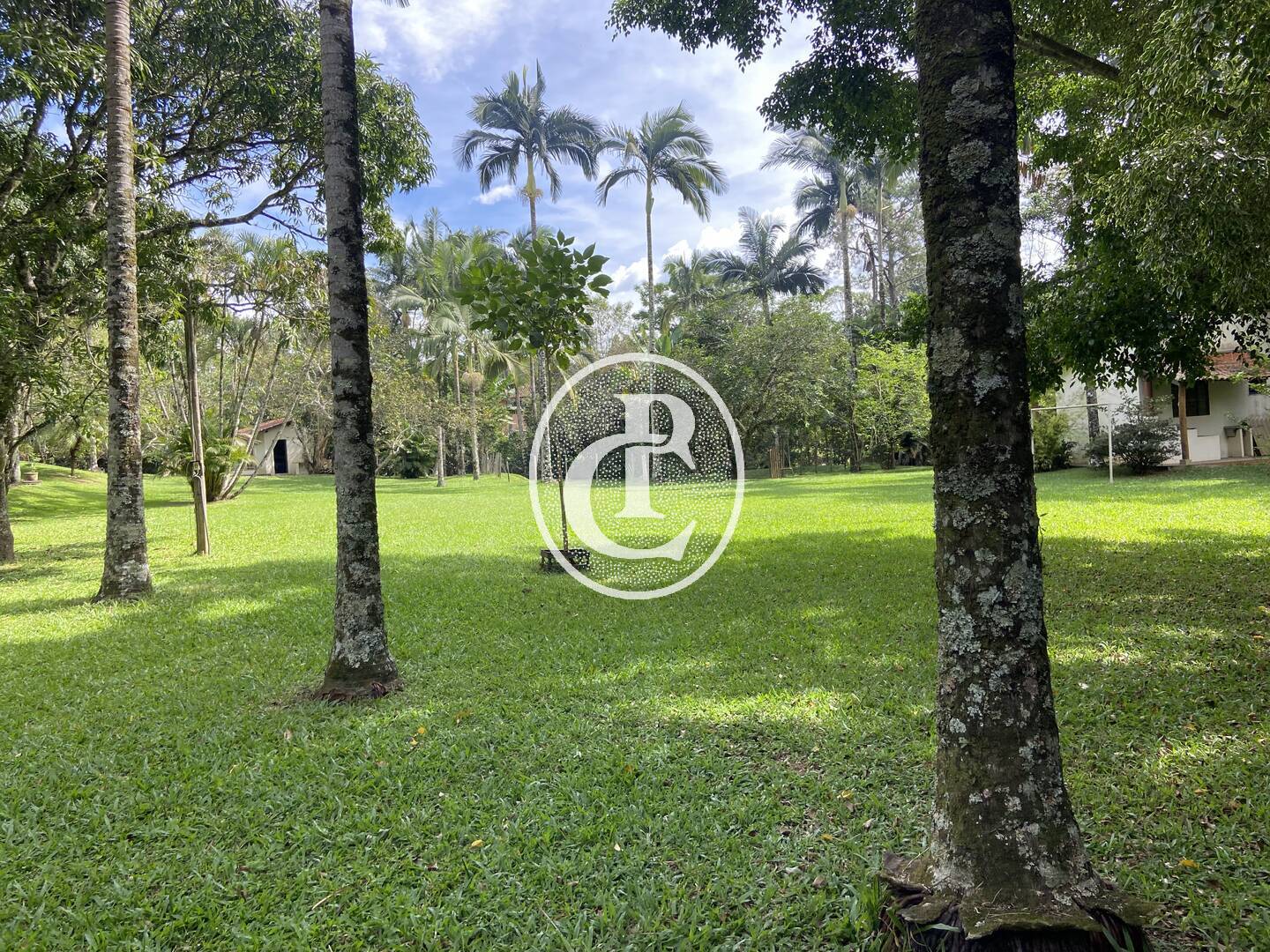 Sítio, 3 quartos, 10000 m² - Foto 16