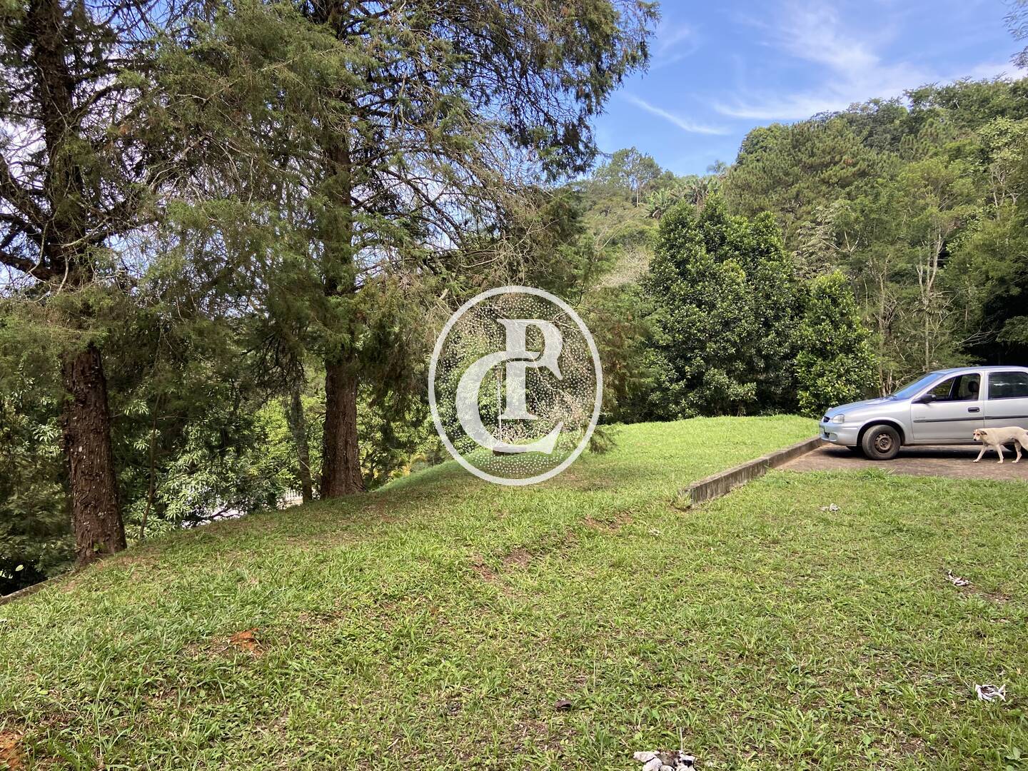 Terreno, 9000 m² - Foto 13