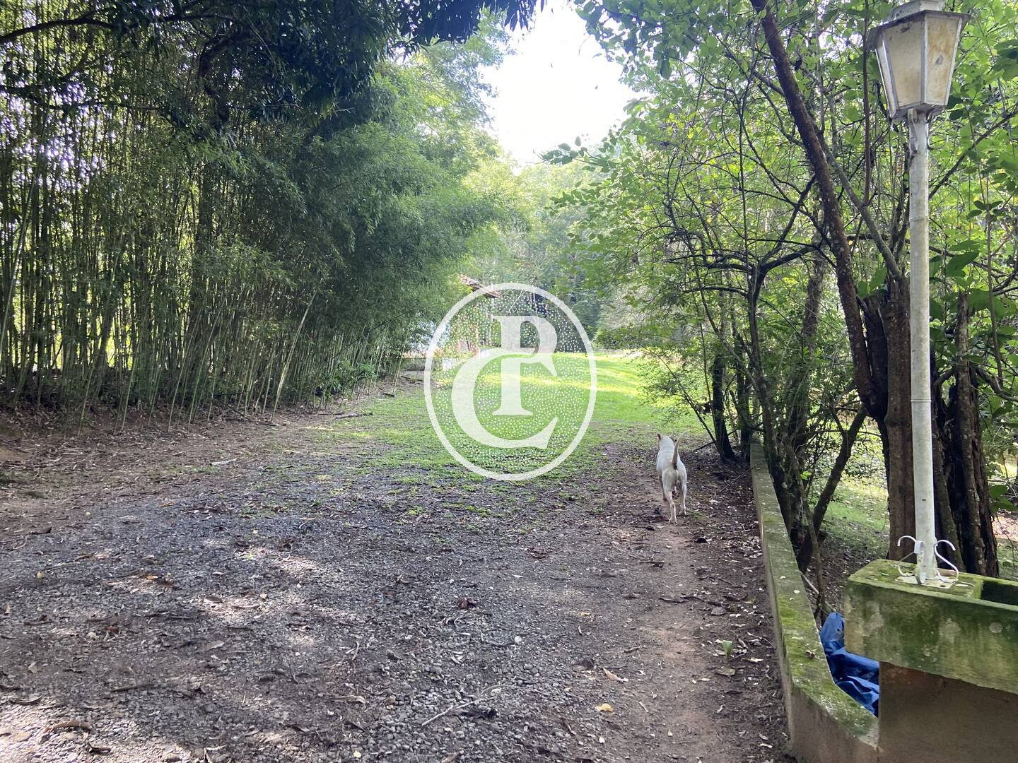 Terreno, 9000 m² - Foto 29