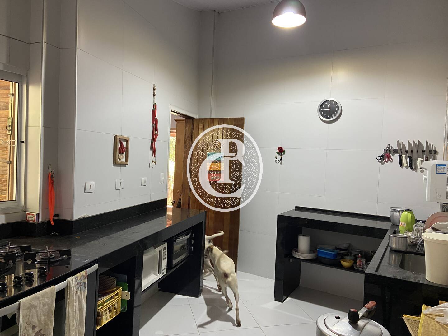 Terreno, 9000 m² - Foto 38