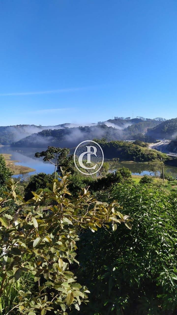 Chácara, 7 quartos, 6000 m² - Foto 2