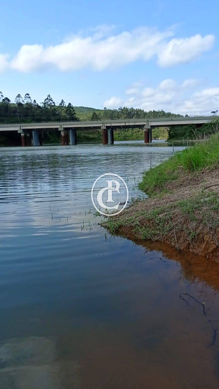 Chácara, 7 quartos, 6000 m² - Foto 4