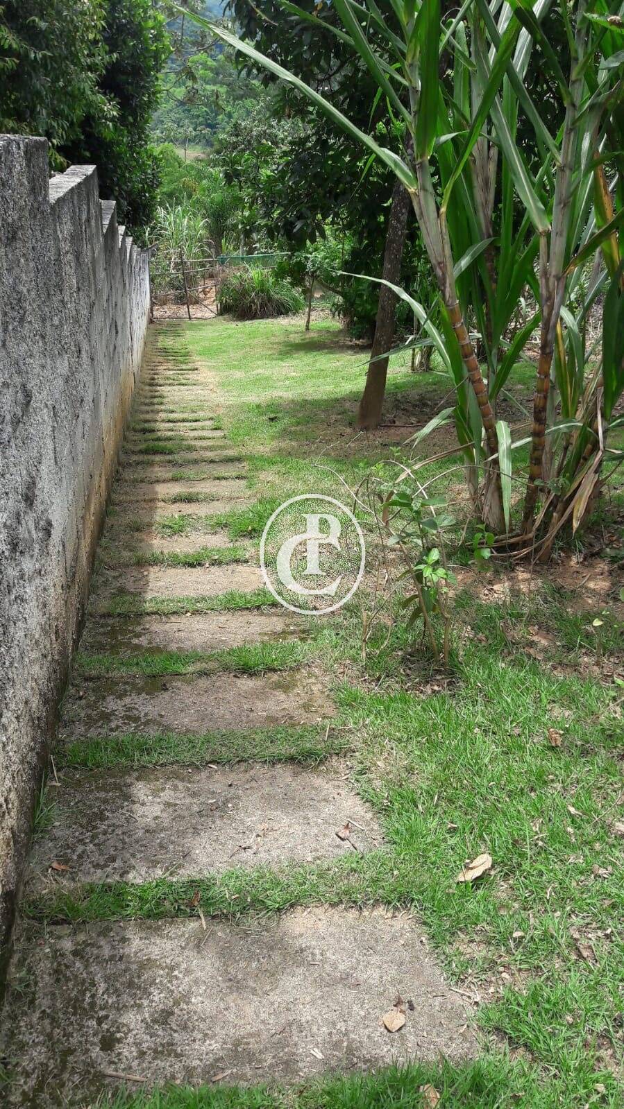 Chácara, 7 quartos, 6000 m² - Foto 12