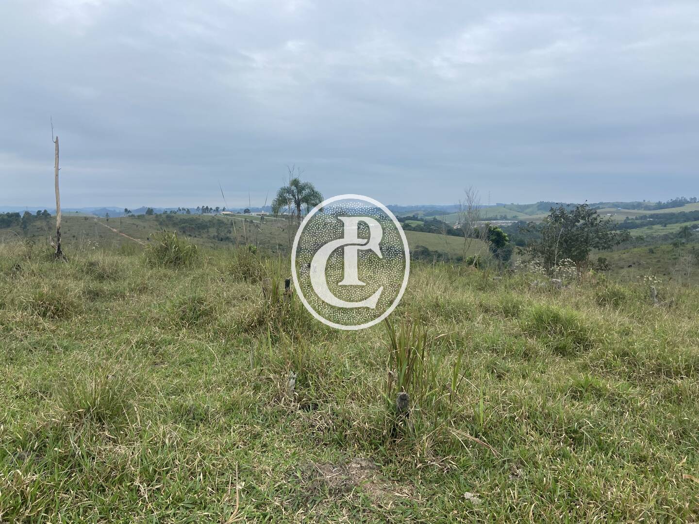 Terreno, 2 hectares - Foto 4