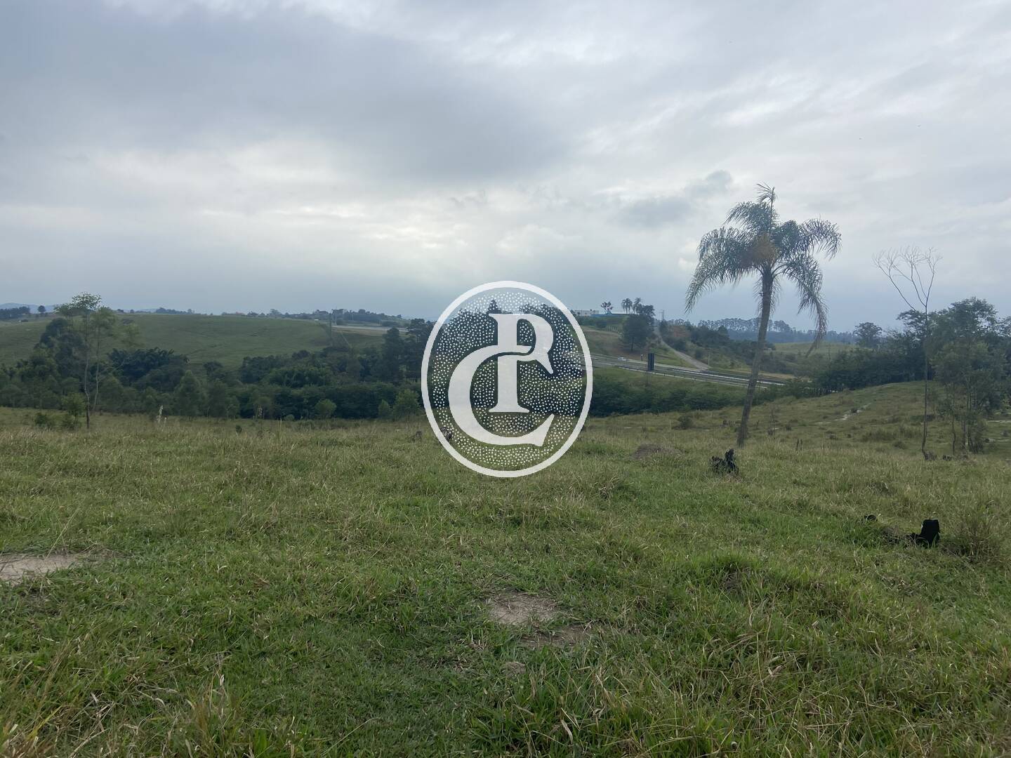 Terreno, 2 hectares - Foto 6