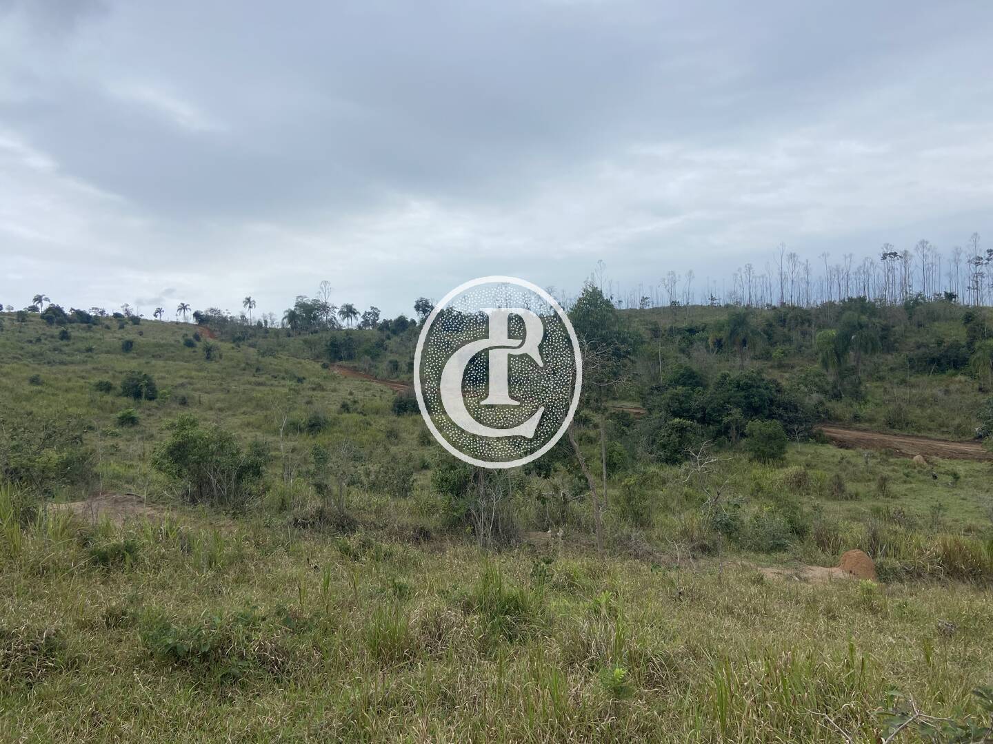 Terreno, 2 hectares - Foto 8