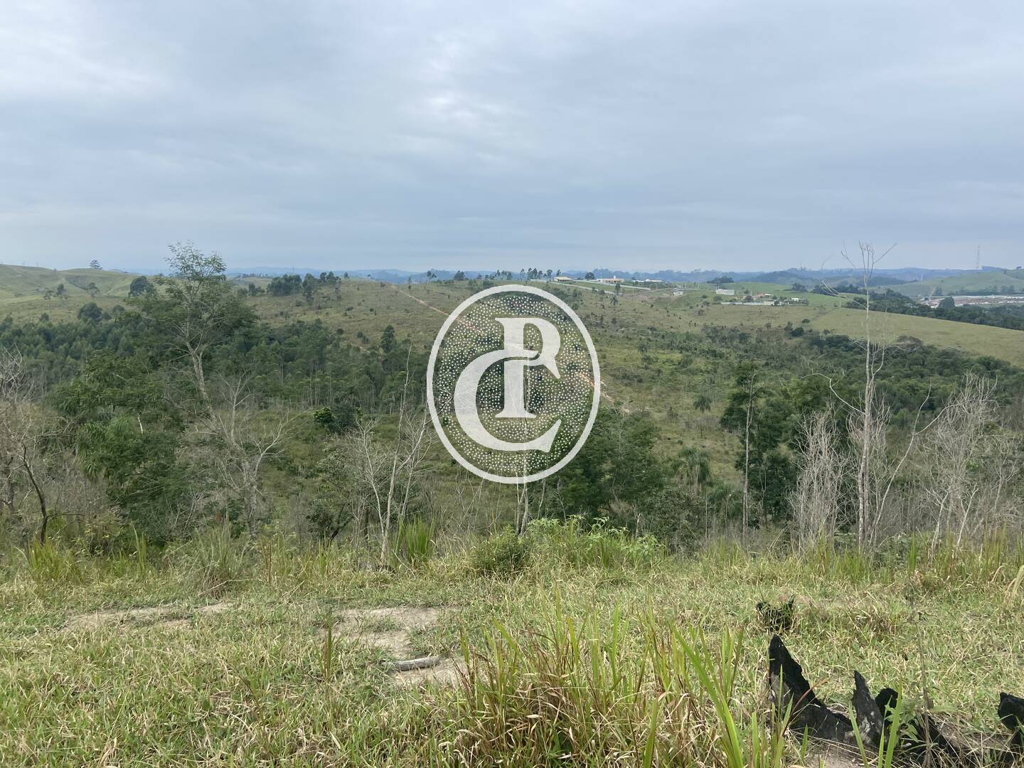 Terreno, 2 hectares - Foto 12