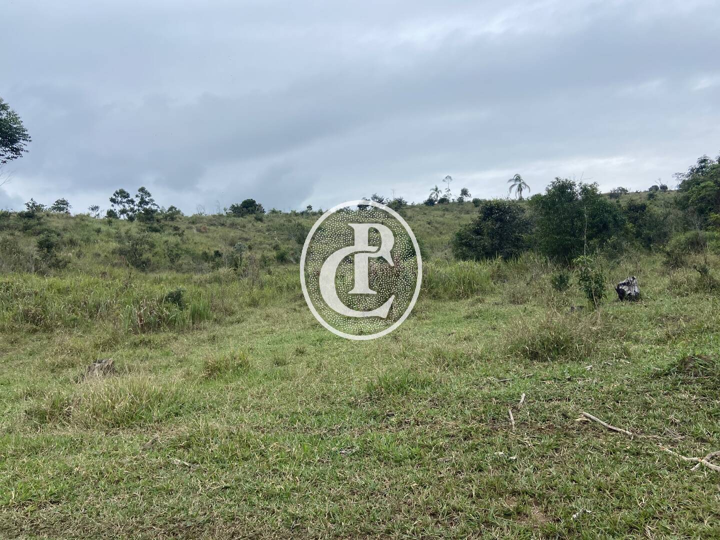 Terreno, 2 hectares - Foto 13