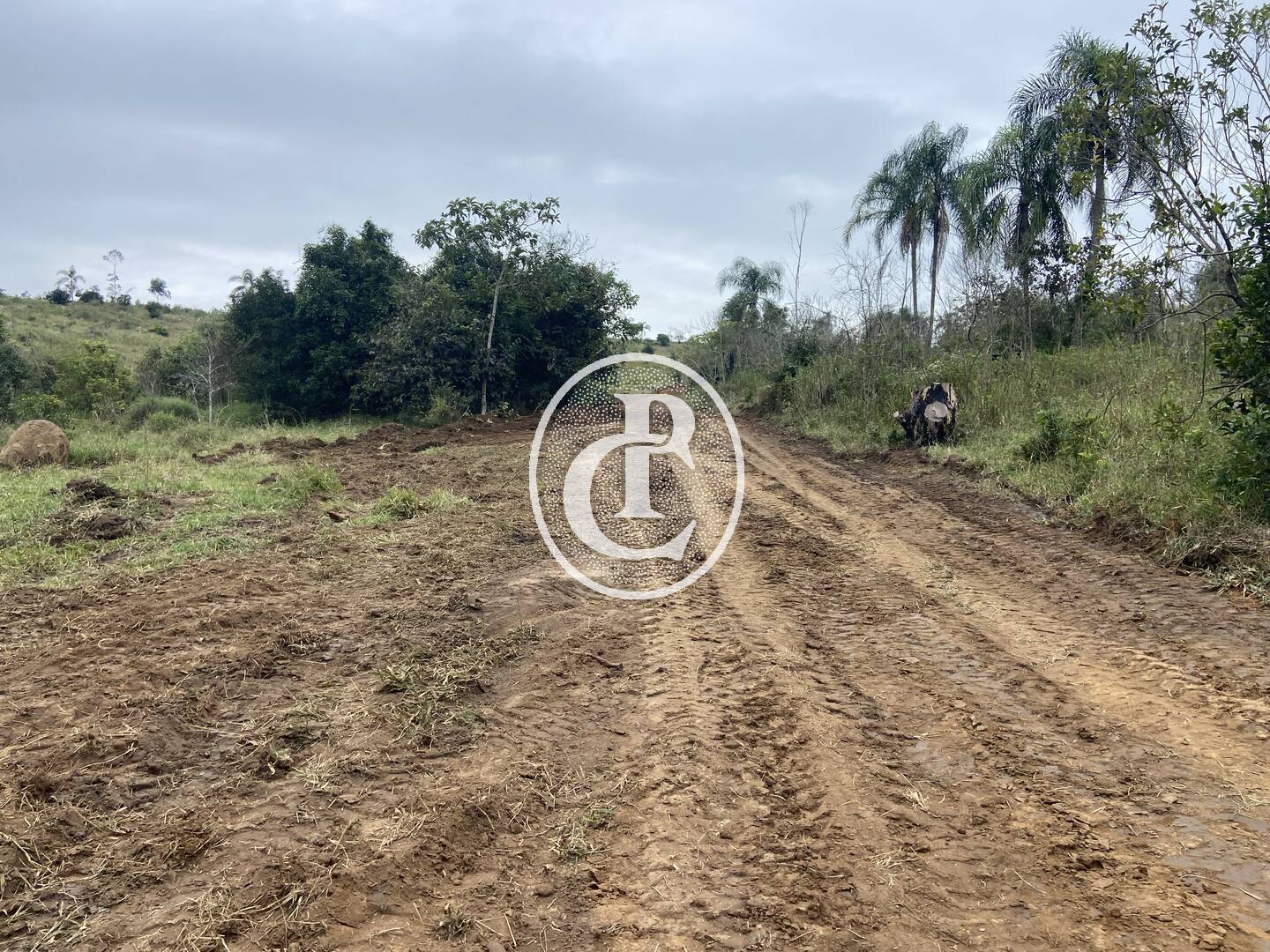 Terreno, 2 hectares - Foto 14