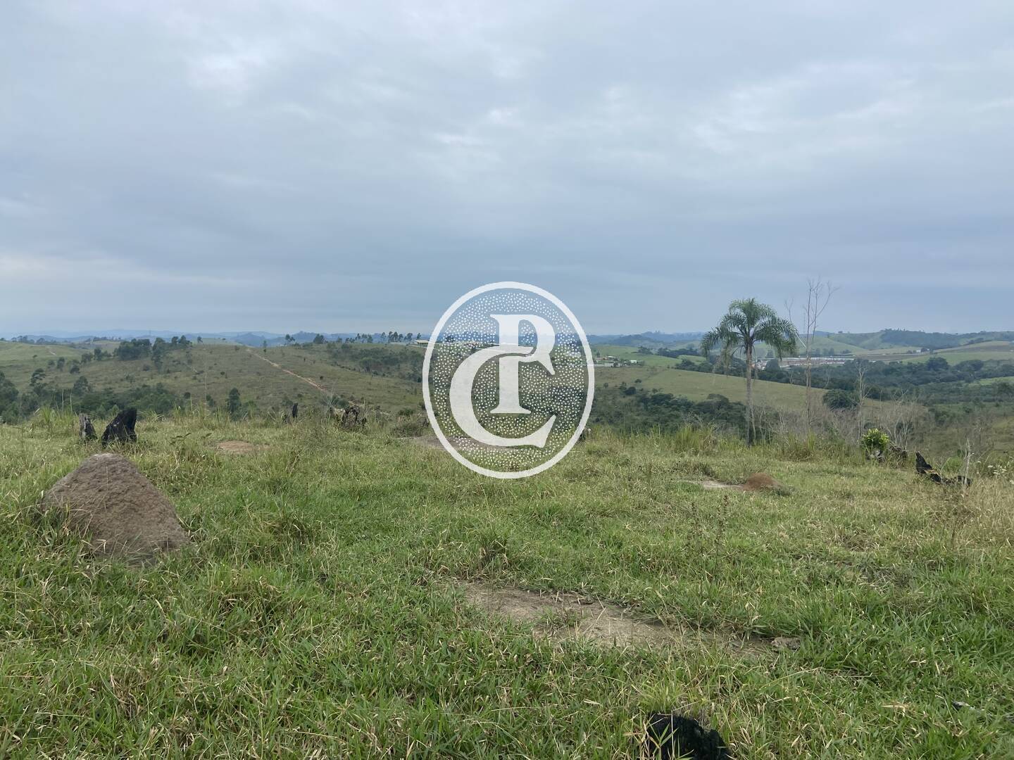 Terreno, 2 hectares - Foto 17
