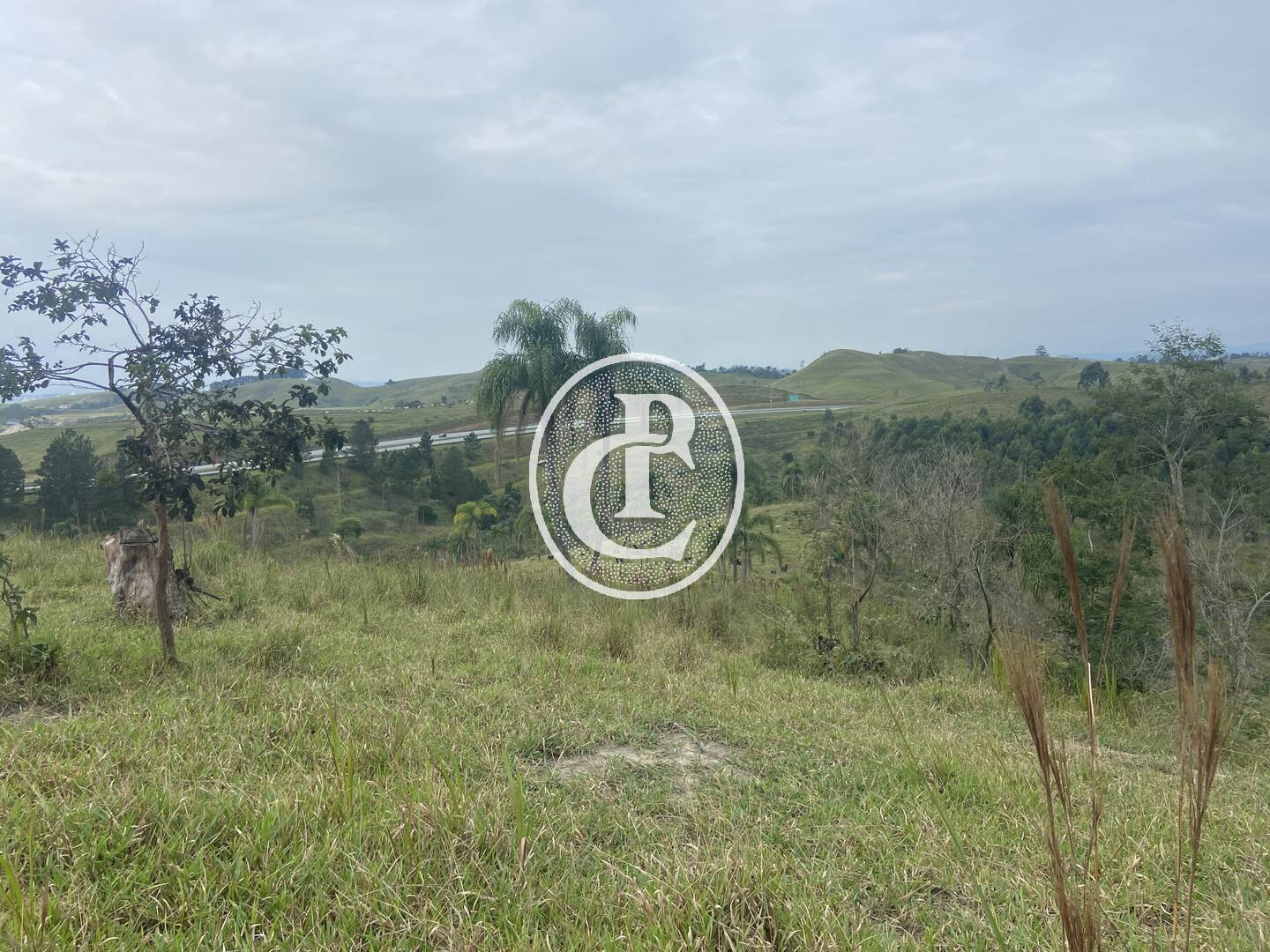 Terreno, 2 hectares - Foto 18