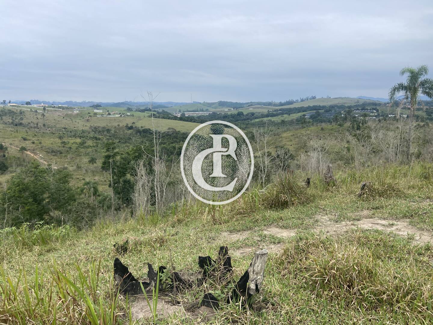 Terreno, 2 hectares - Foto 19