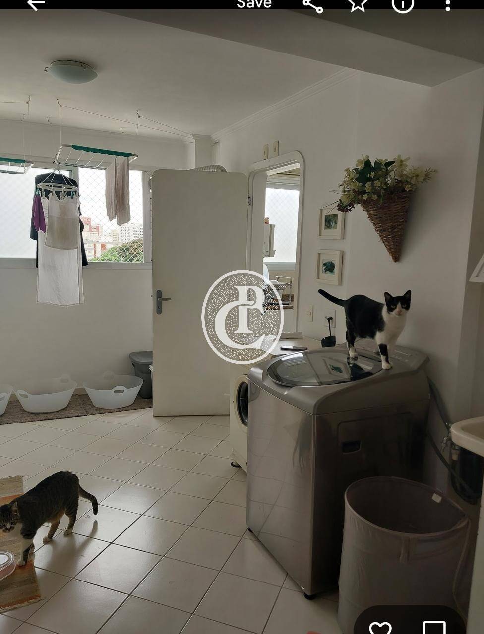 Apartamento, 4 quartos, 237 m² - Foto 28