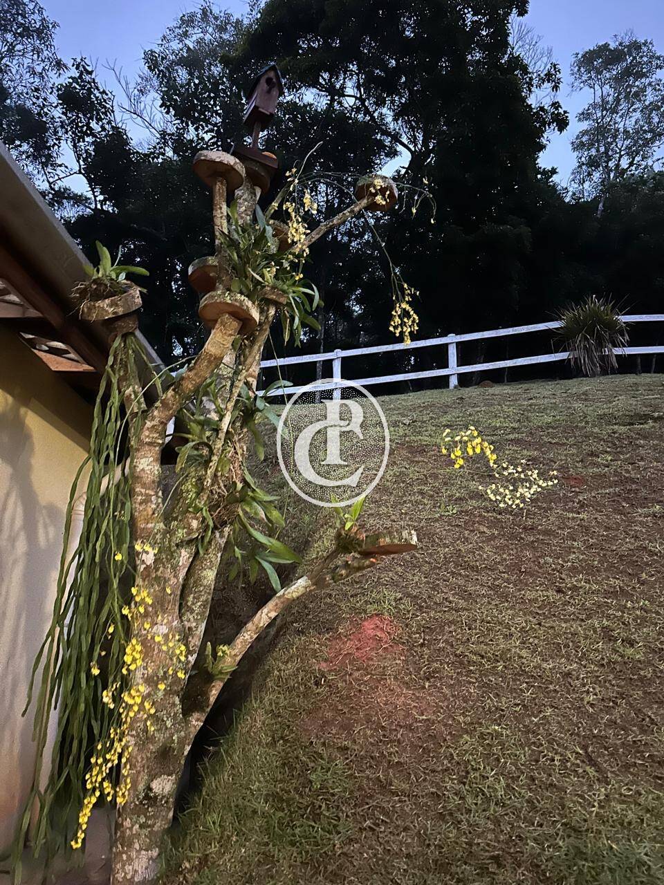 Sítio, 3 quartos, 2 hectares - Foto 4