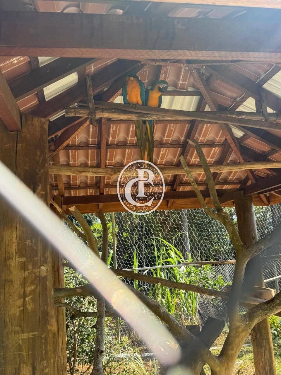 Chácara, 3 quartos, 5025 m² - Foto 26