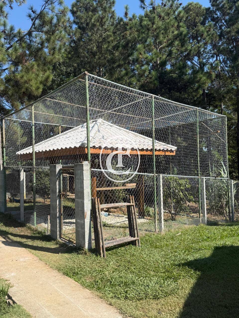 Chácara, 3 quartos, 5025 m² - Foto 40