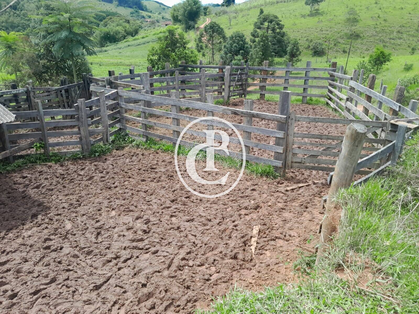 Fazenda, 111 m² - Foto 4