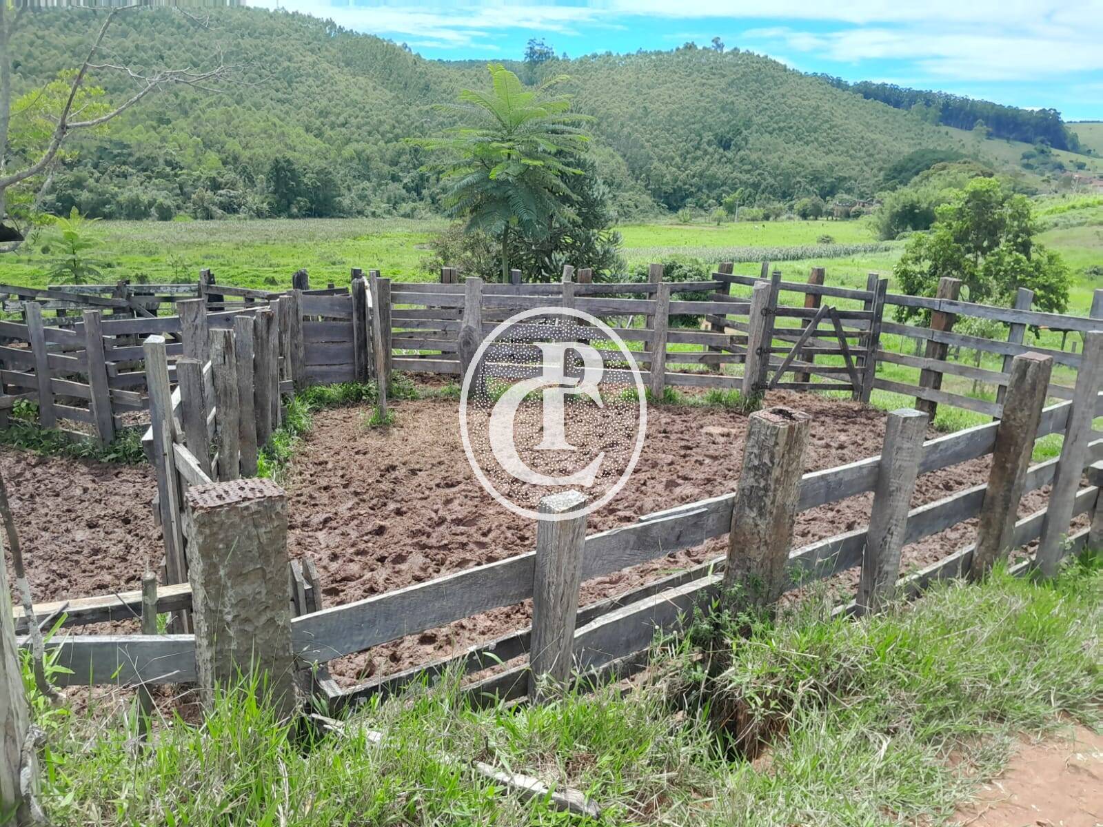 Fazenda, 111 m² - Foto 7