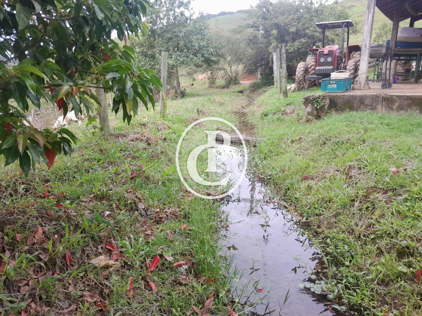 Fazenda, 111 m² - Foto 6