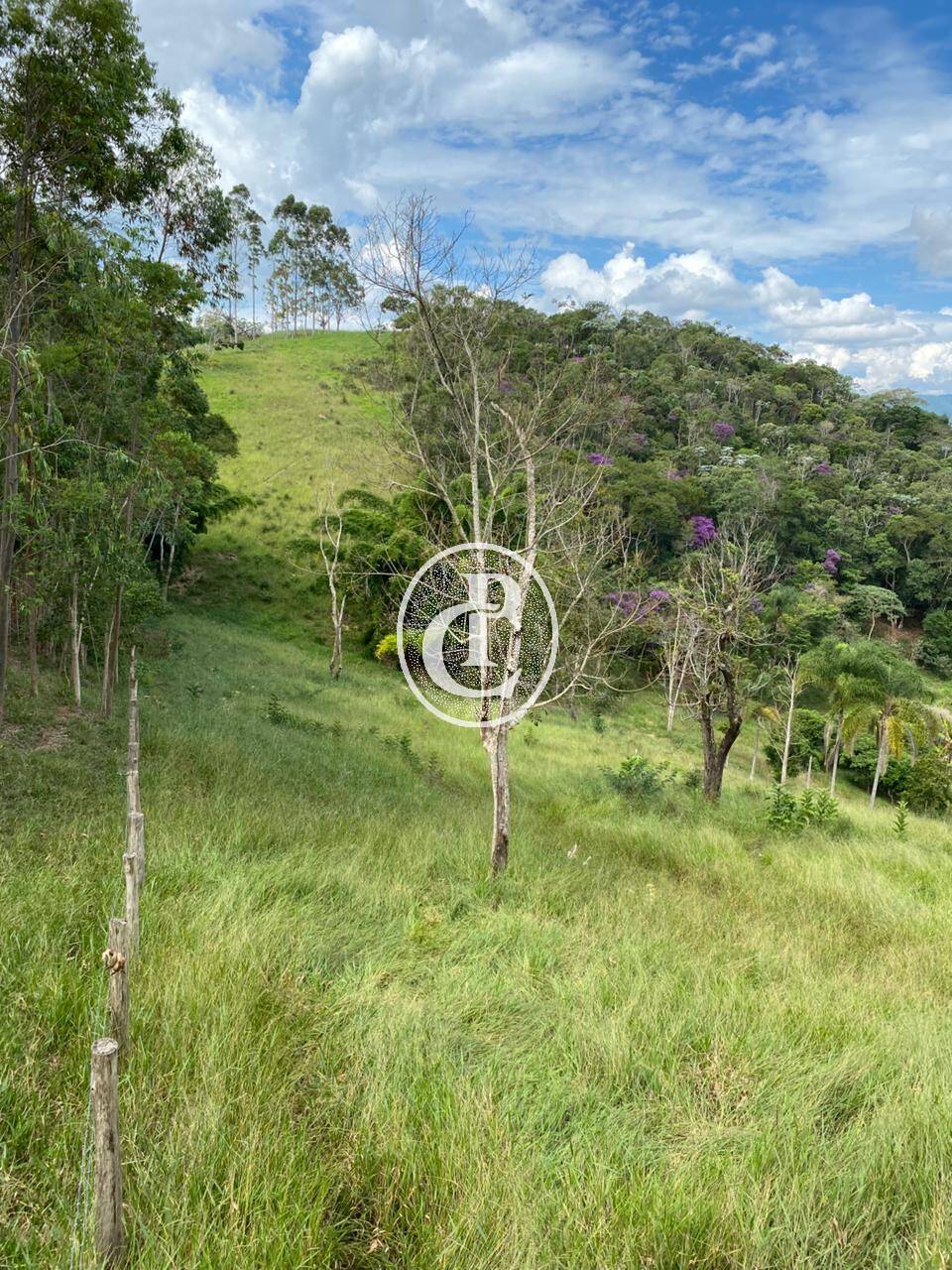 Sítio, 1 quarto, 4 hectares - Foto 4