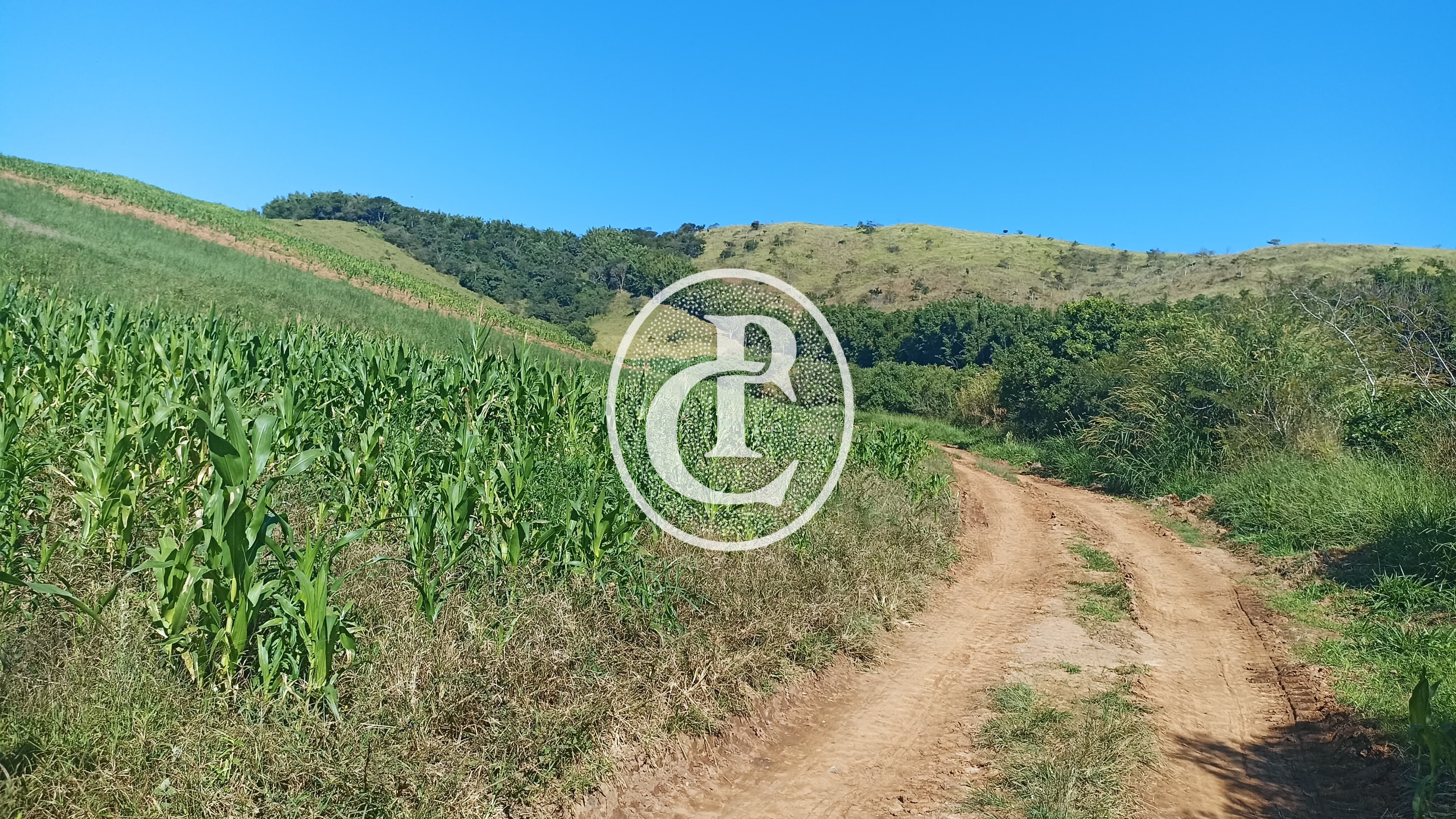 Fazenda, 26 m² - Foto 7