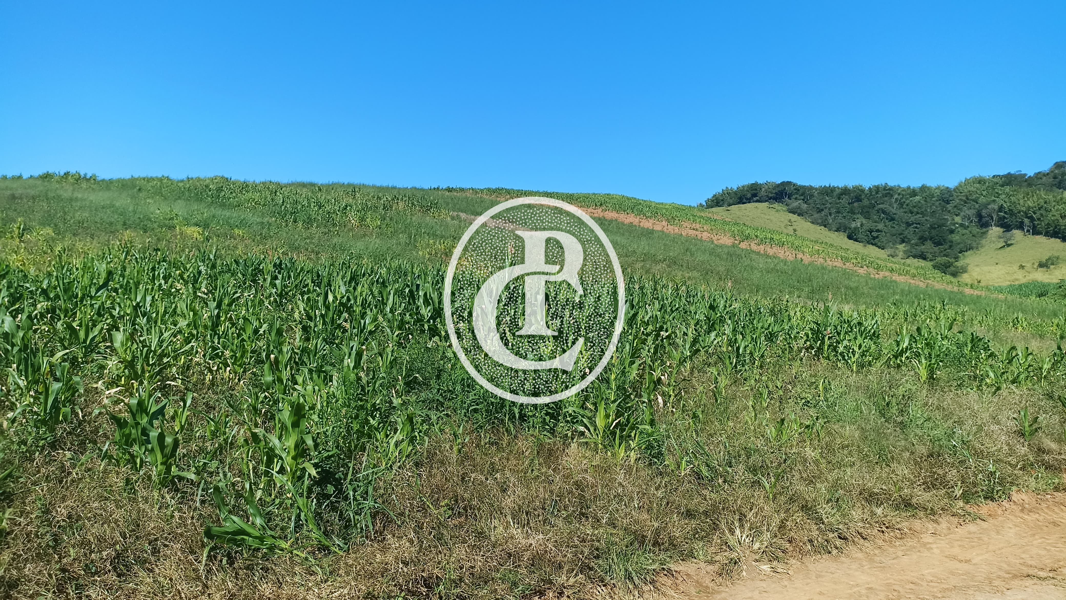 Fazenda, 26 m² - Foto 8