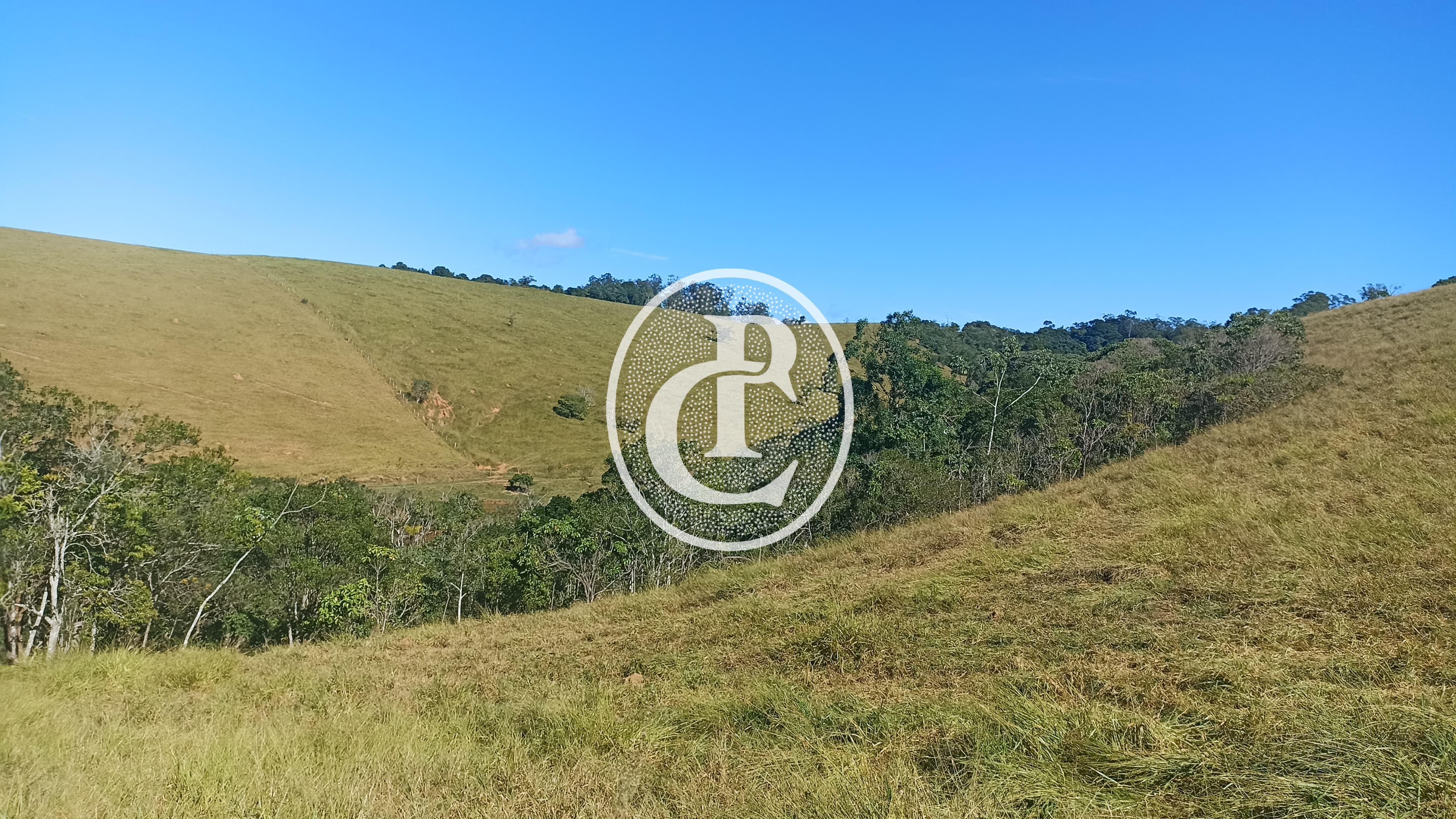 Fazenda, 247 hectares - Foto 3