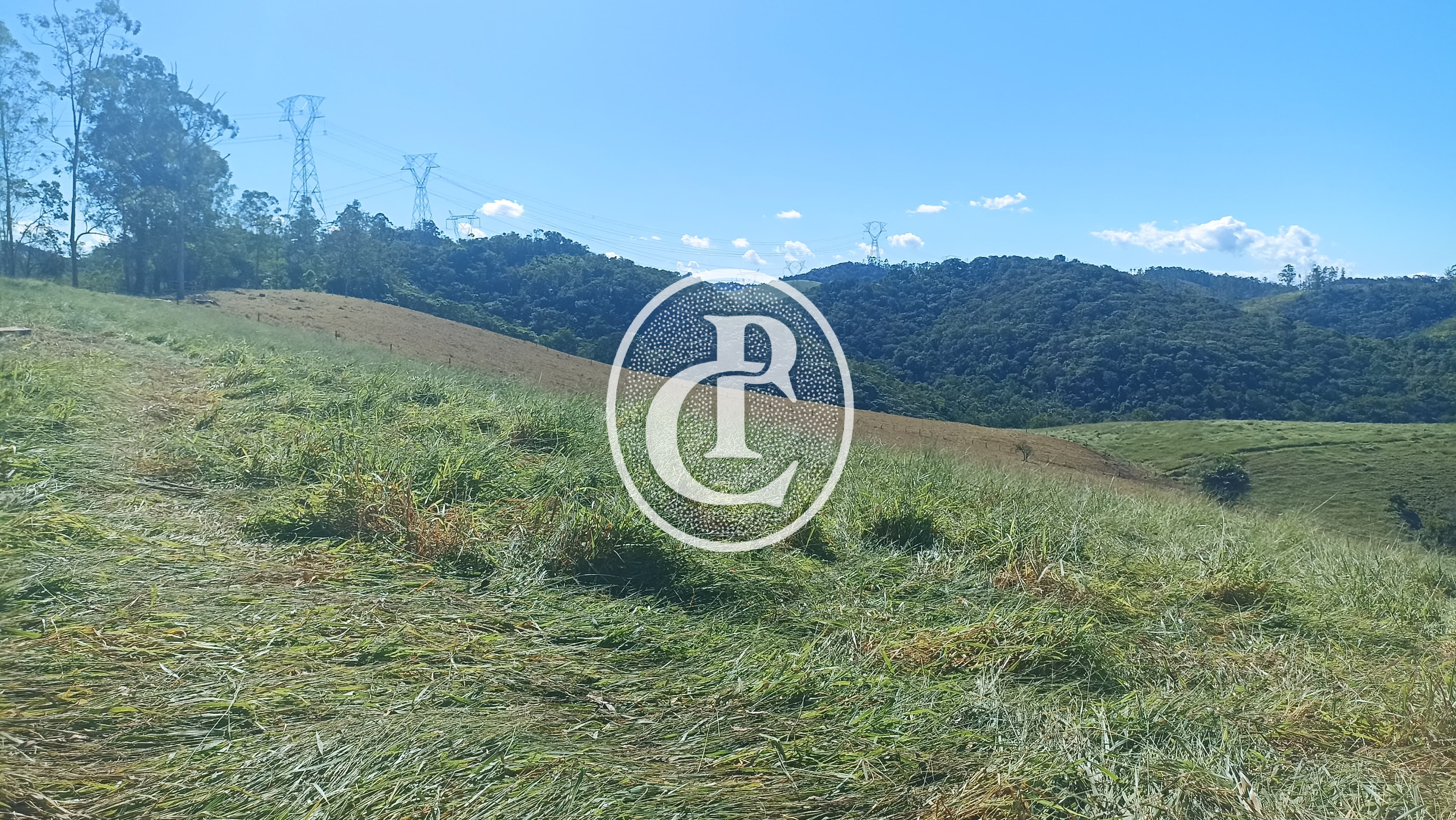 Fazenda, 247 hectares - Foto 6