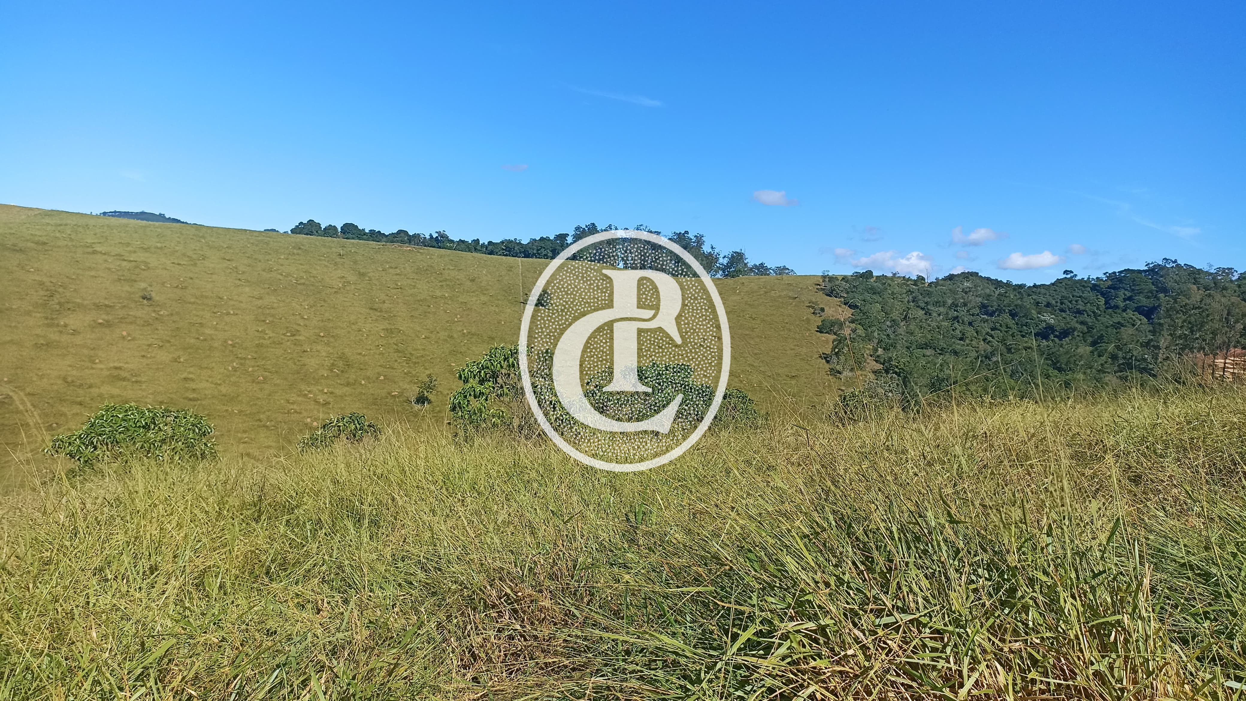 Fazenda, 247 hectares - Foto 7