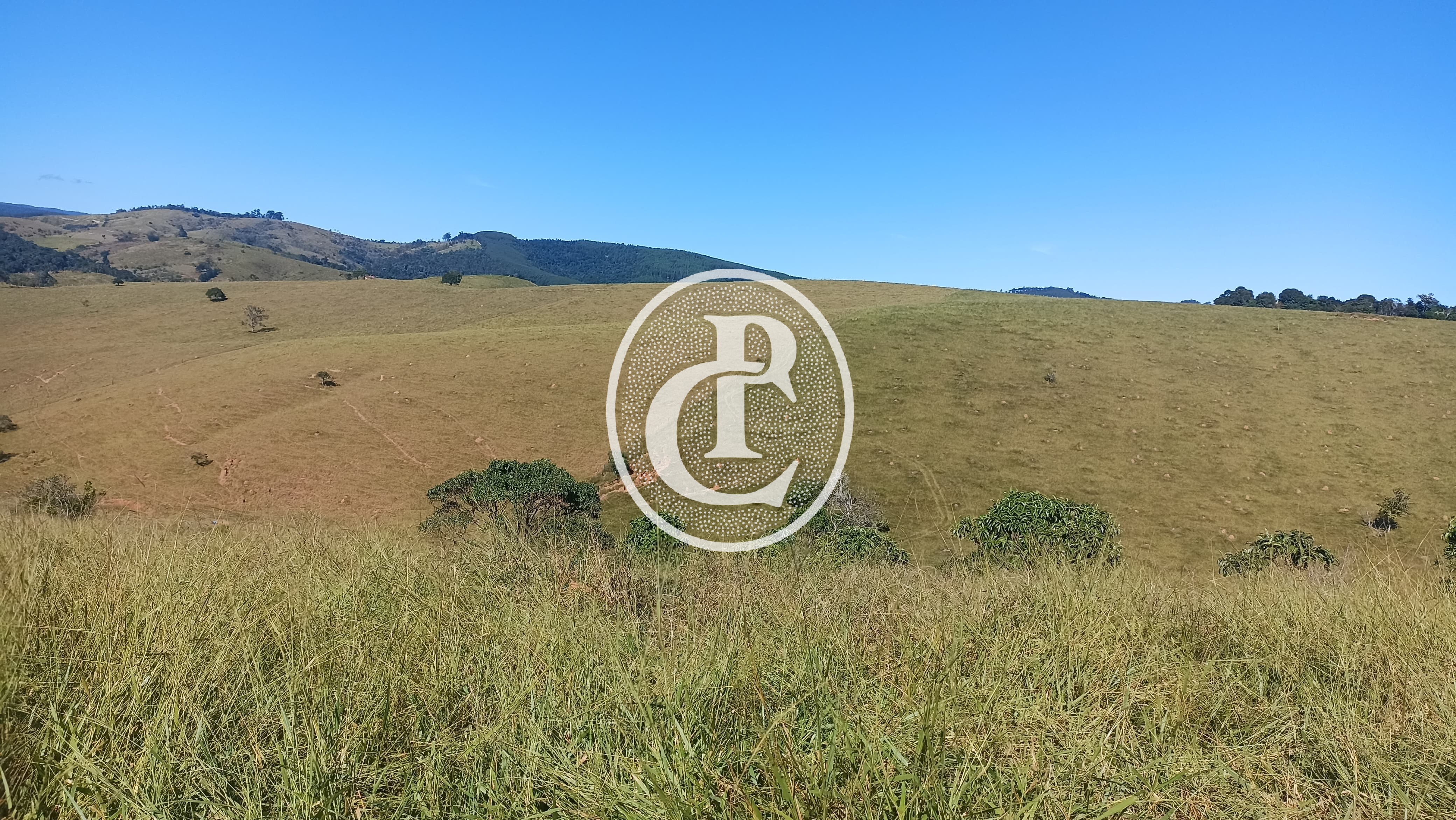 Fazenda, 247 hectares - Foto 8