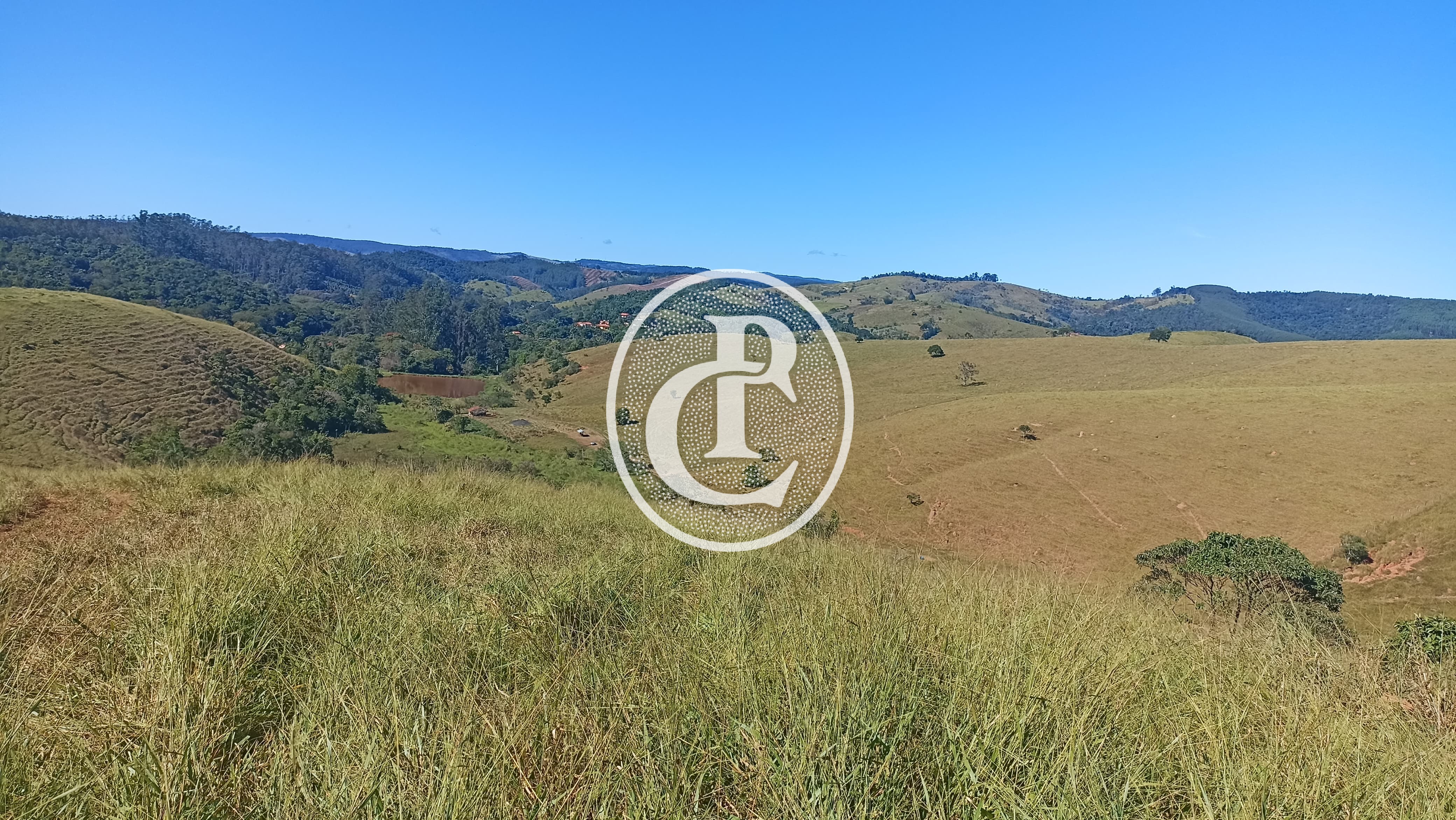 Fazenda, 247 hectares - Foto 9
