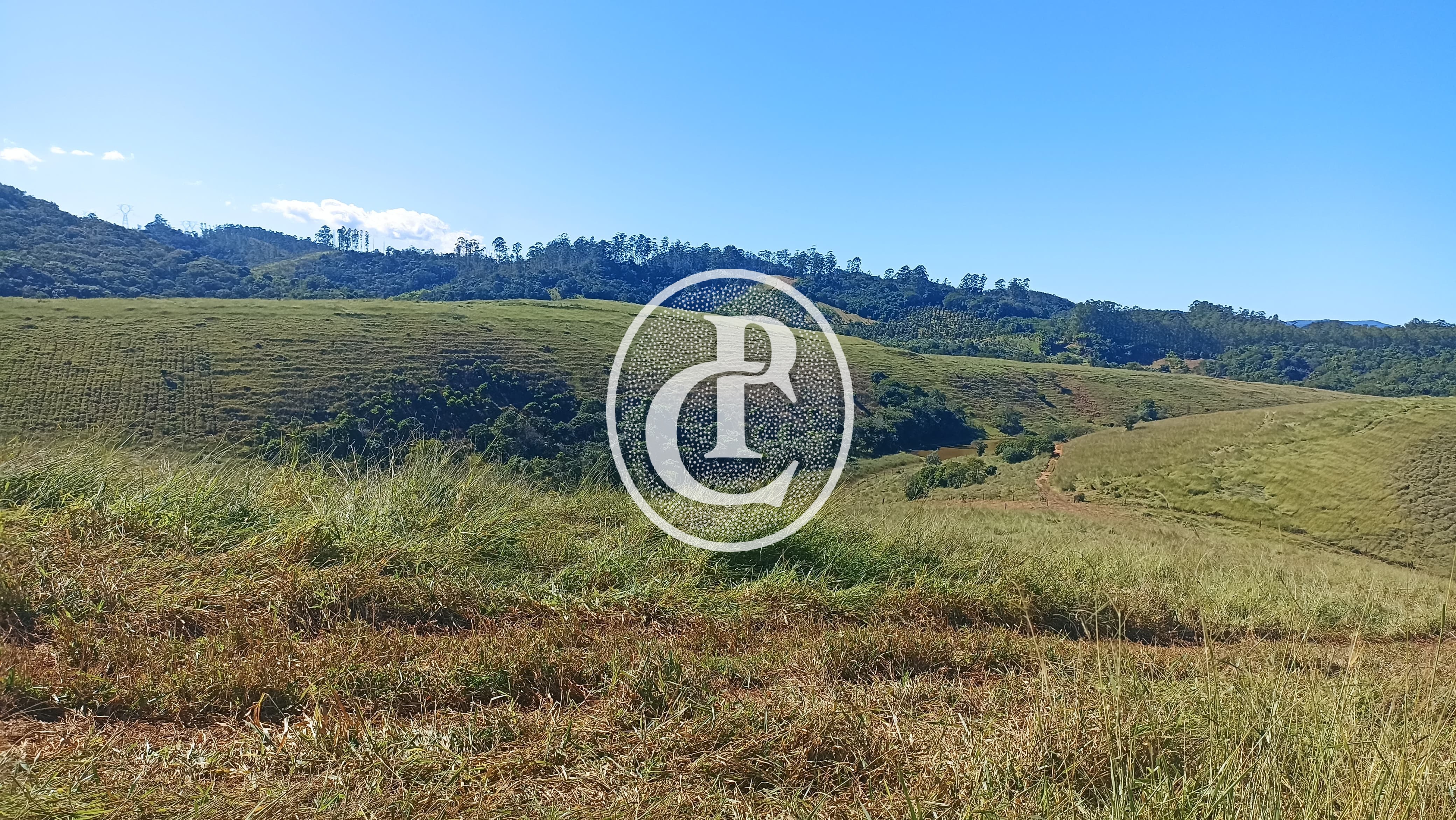Fazenda, 247 hectares - Foto 10