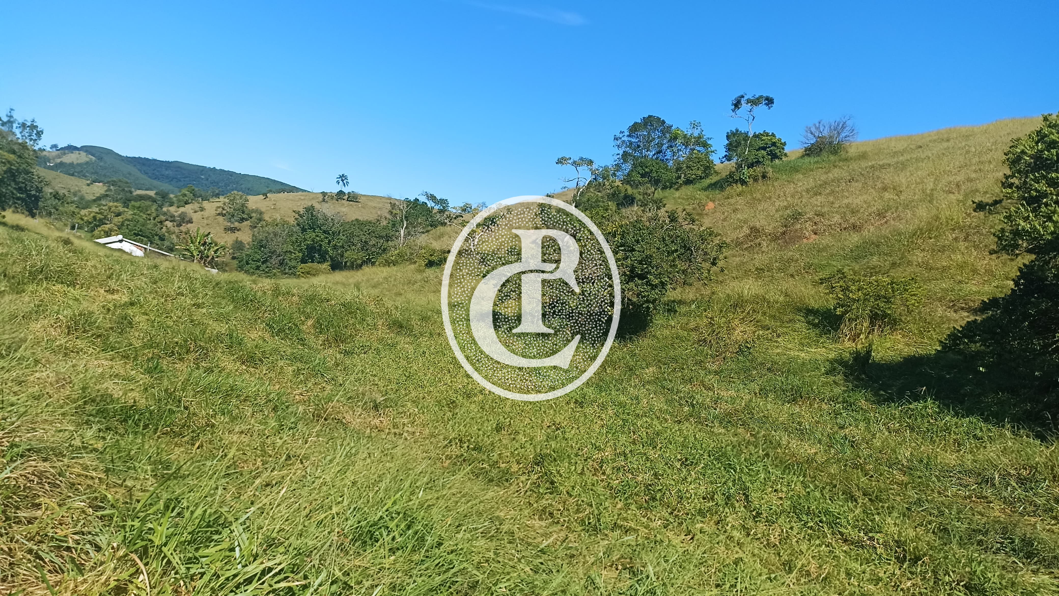 Fazenda, 247 hectares - Foto 12