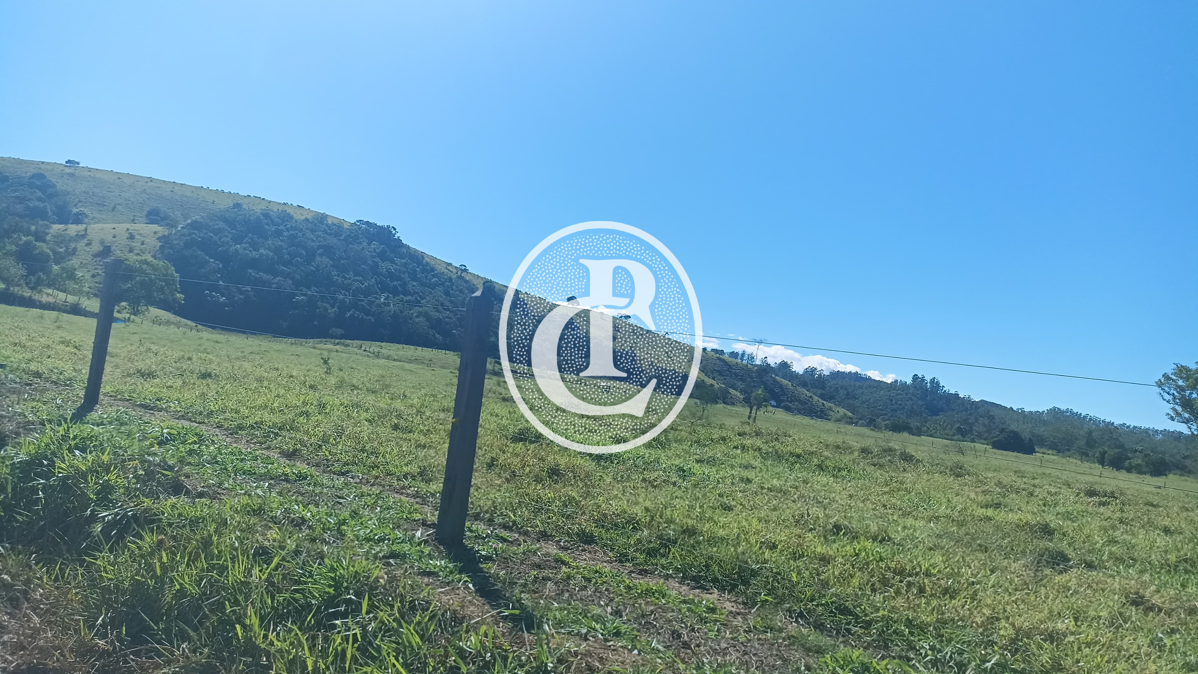 Fazenda, 247 hectares - Foto 14