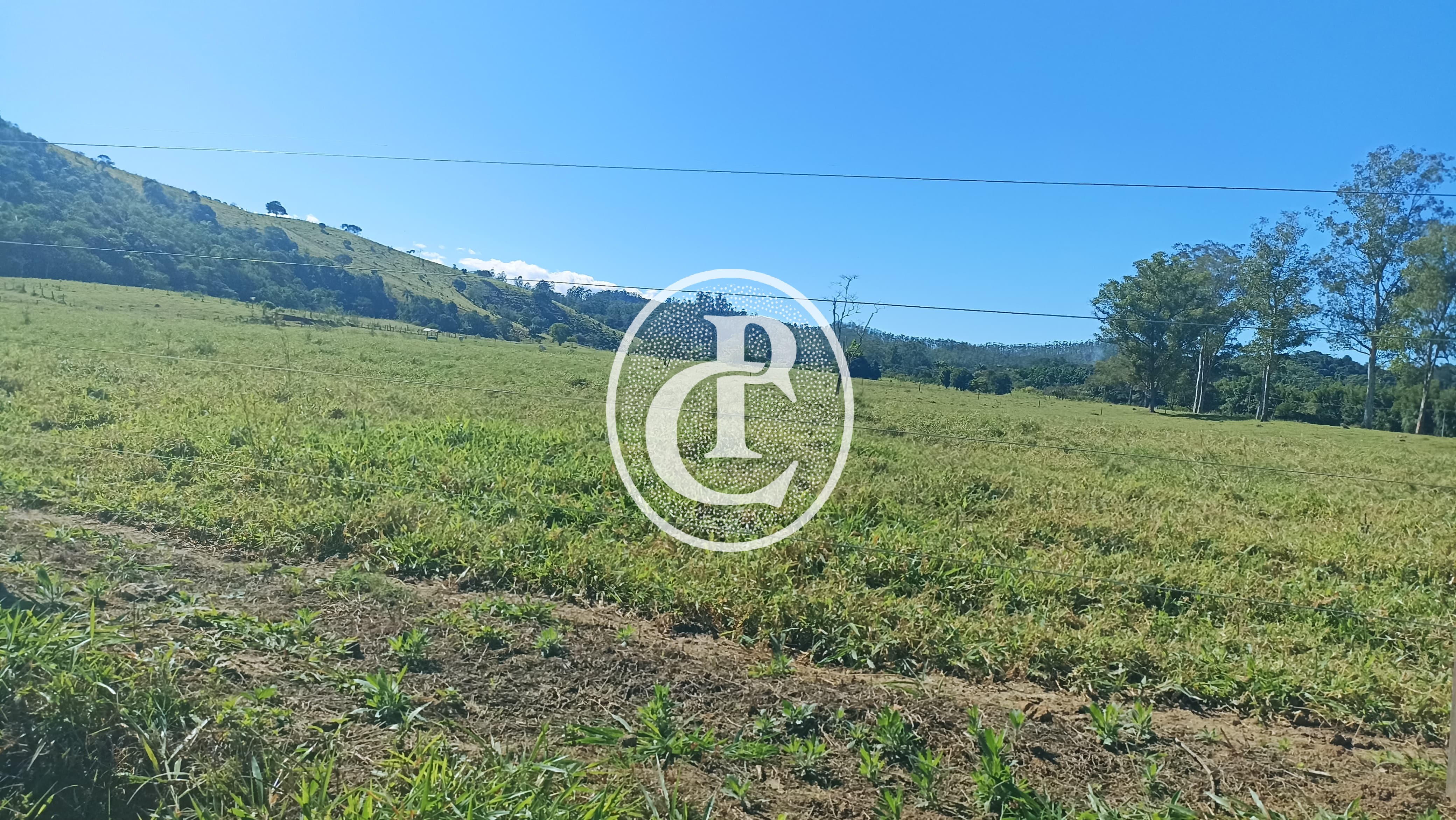 Fazenda, 247 hectares - Foto 15