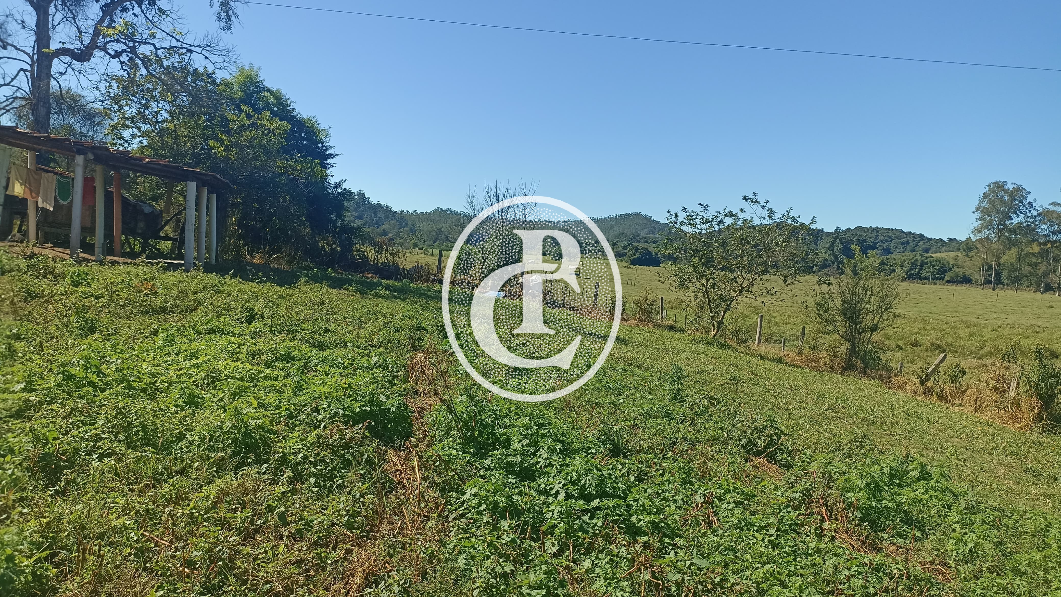 Fazenda, 247 hectares - Foto 16
