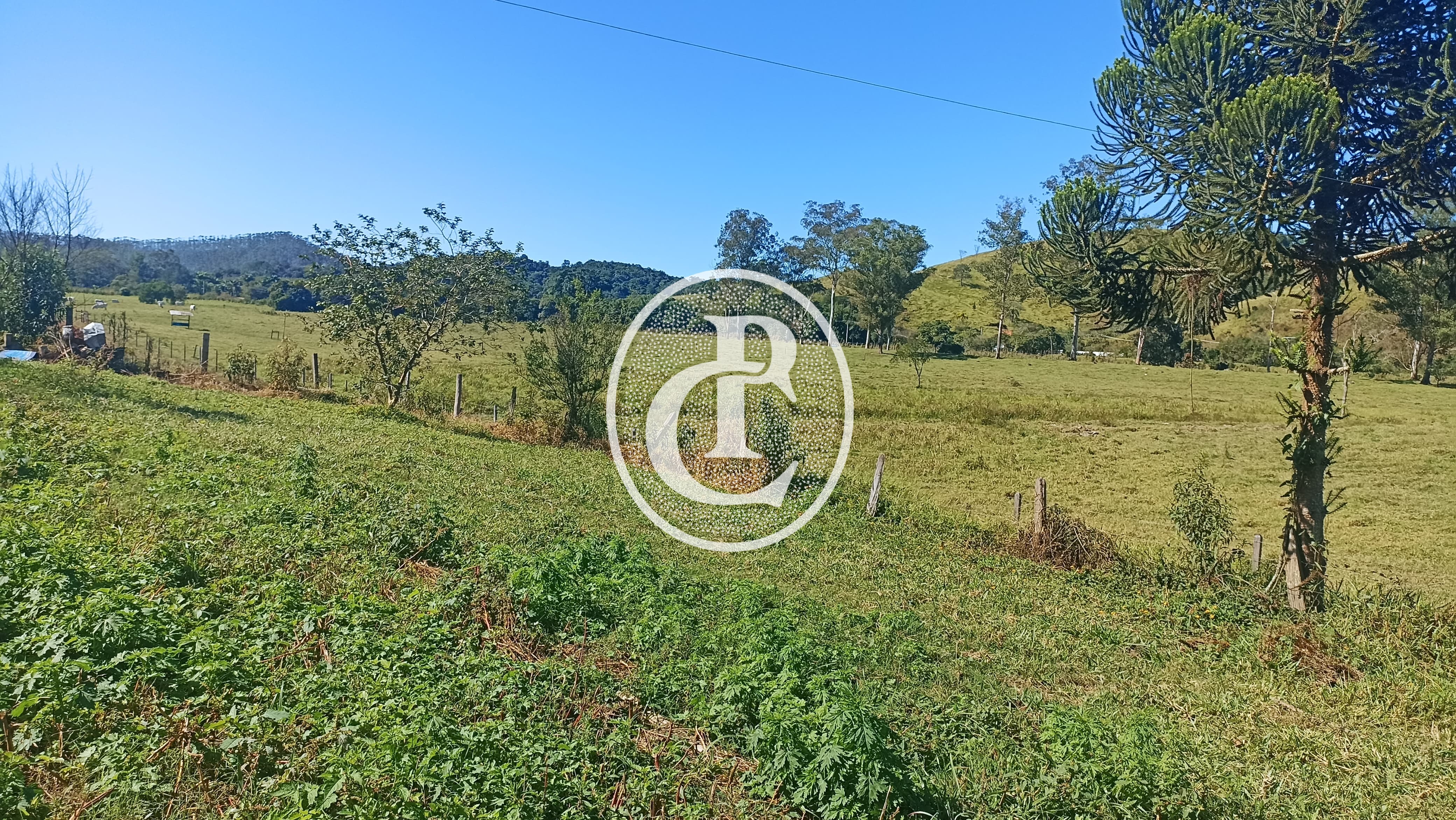 Fazenda, 247 hectares - Foto 17
