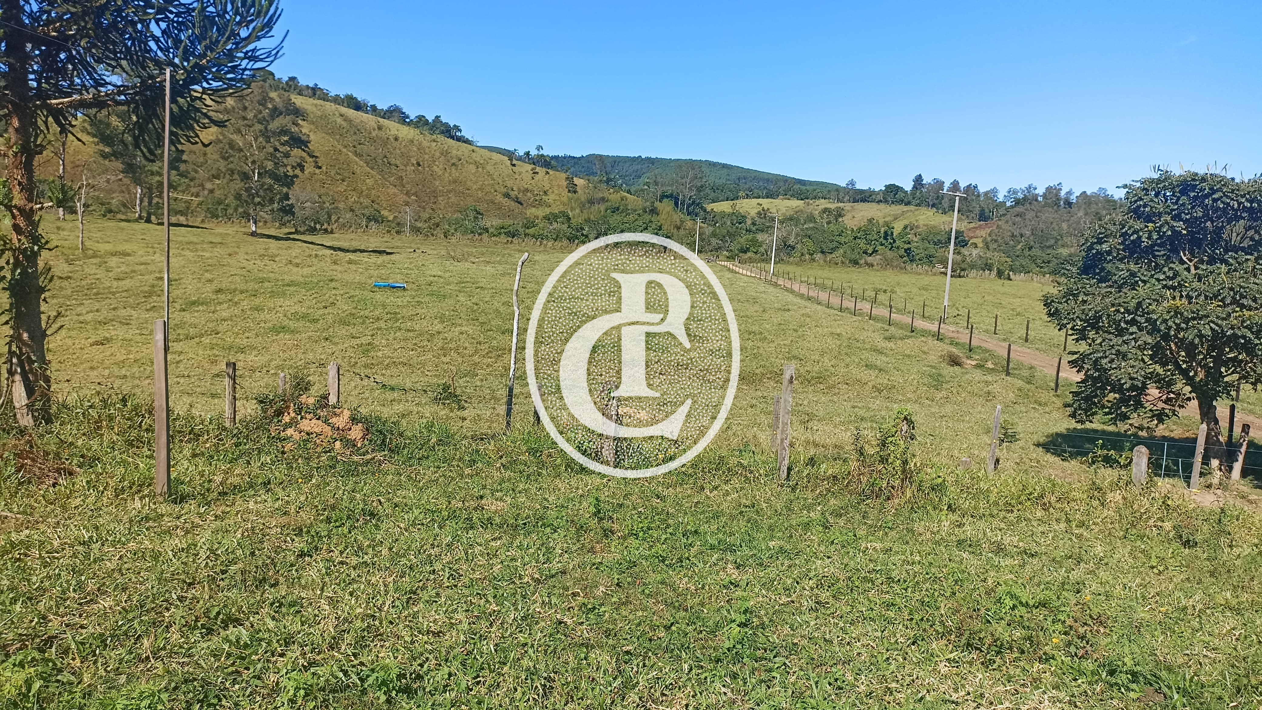 Fazenda, 247 hectares - Foto 18