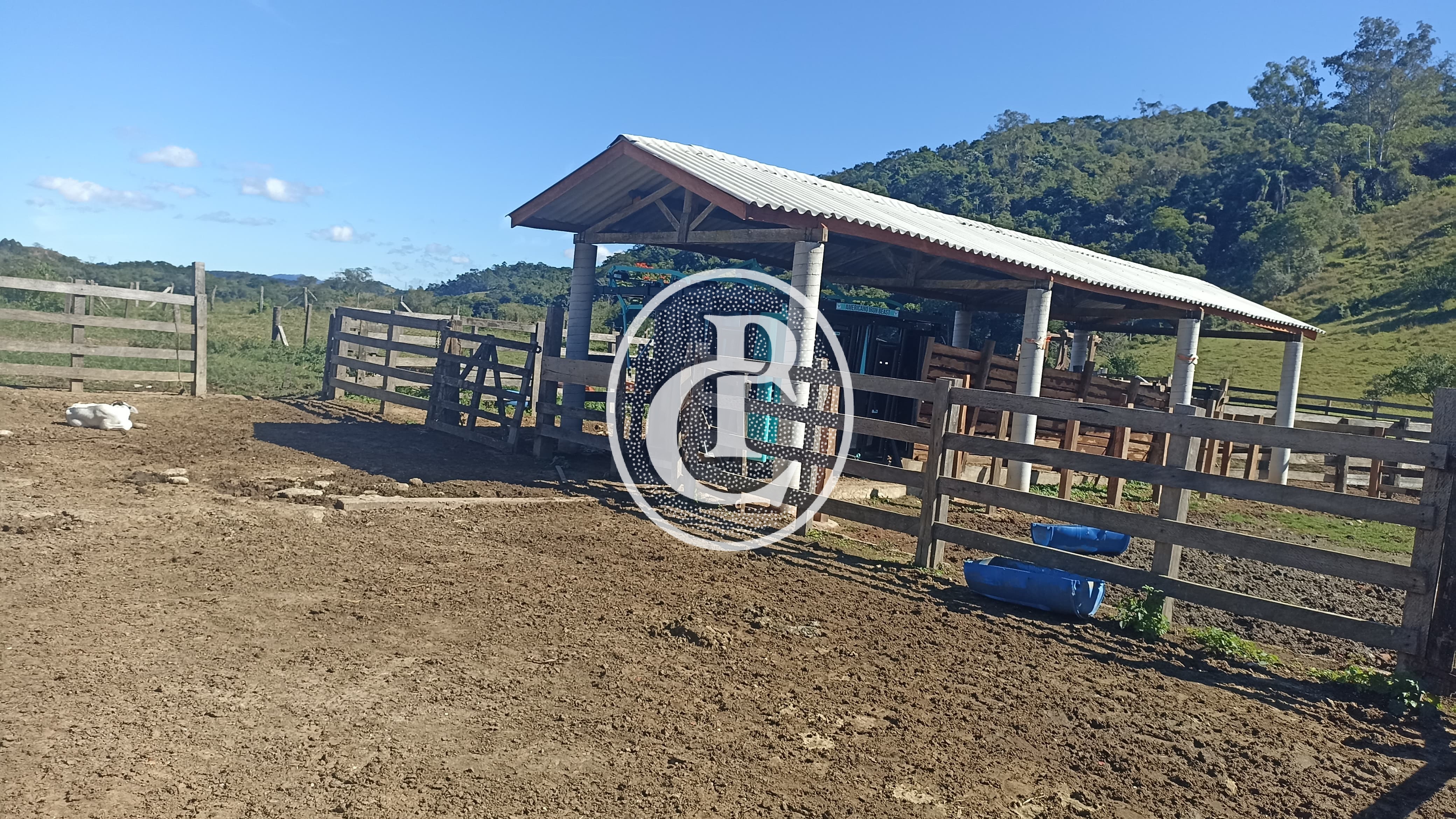 Fazenda, 247 hectares - Foto 1